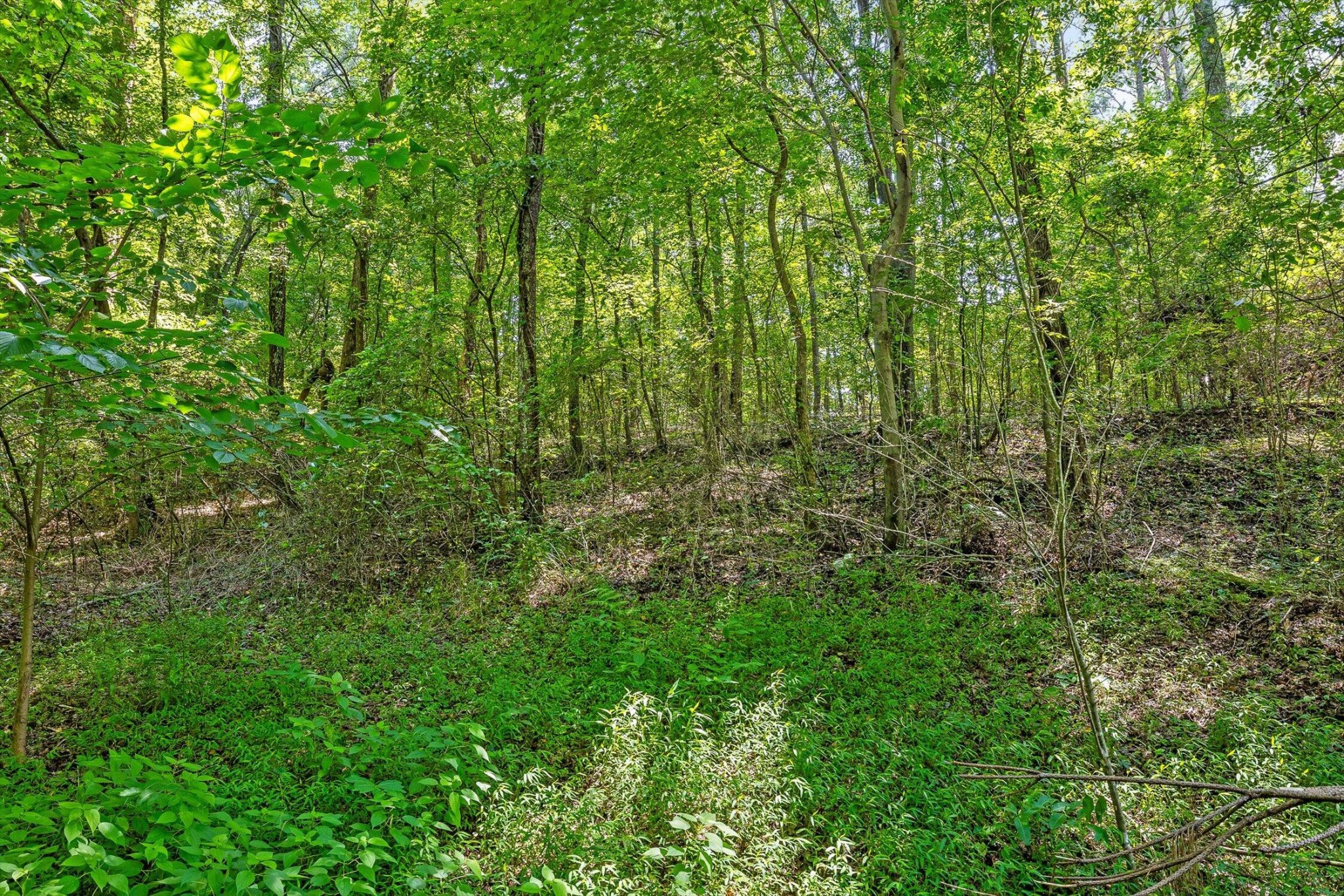 2727 Old Tilton Road Property Photo 5
