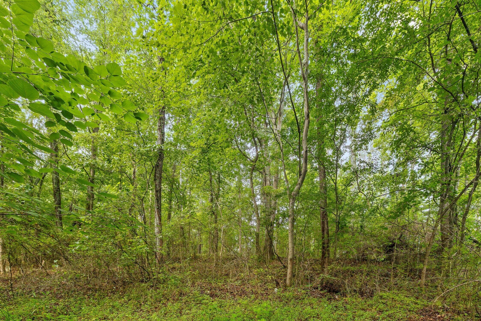 2727 Old Tilton Road Property Photo 7