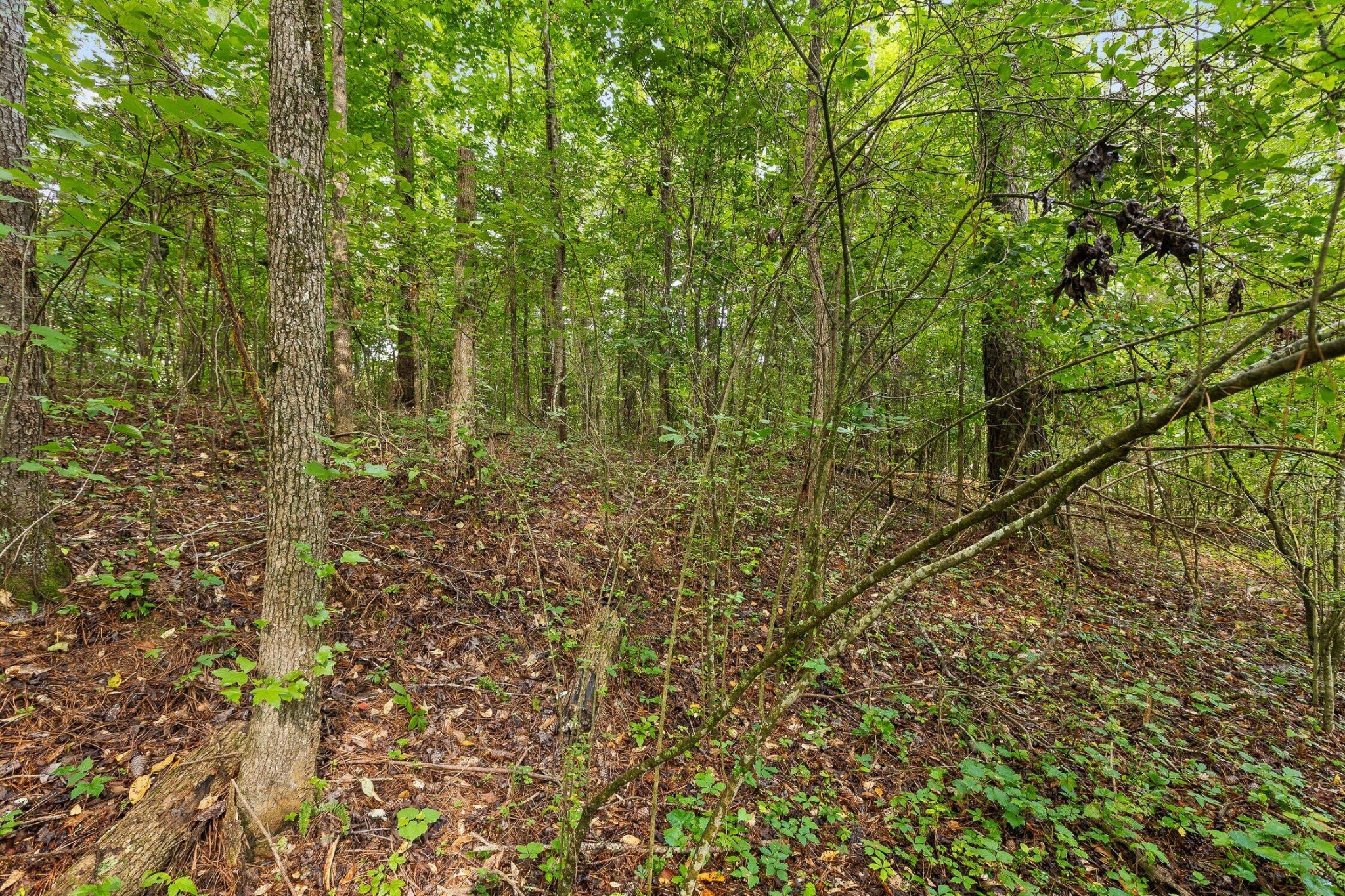 2727 Old Tilton Road Property Photo 8
