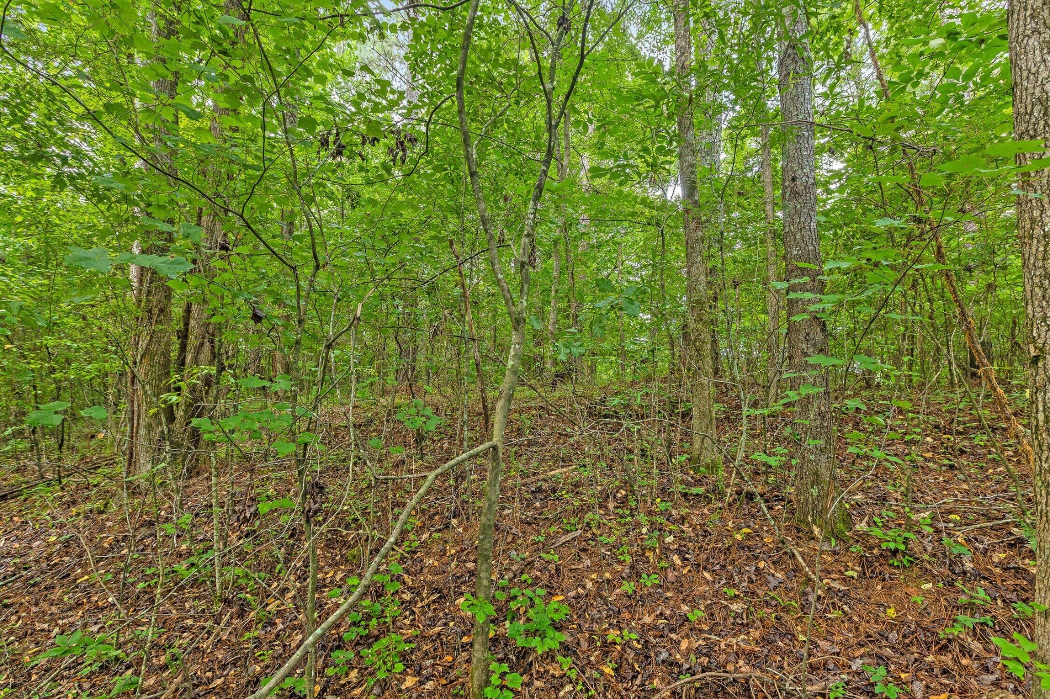 2727 Old Tilton Road Property Photo 10