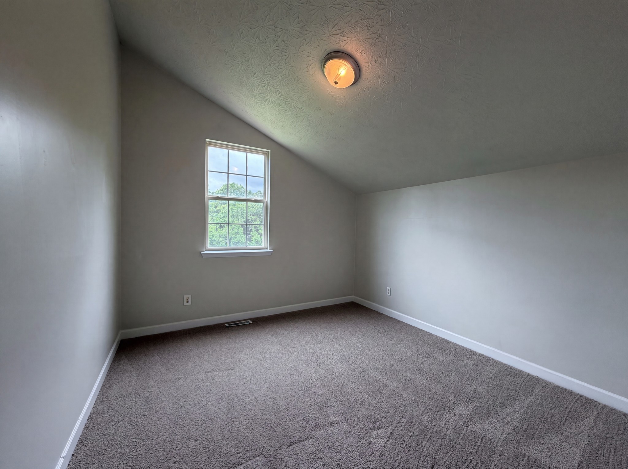 436 Scotts Creek Trl Property Photo 16