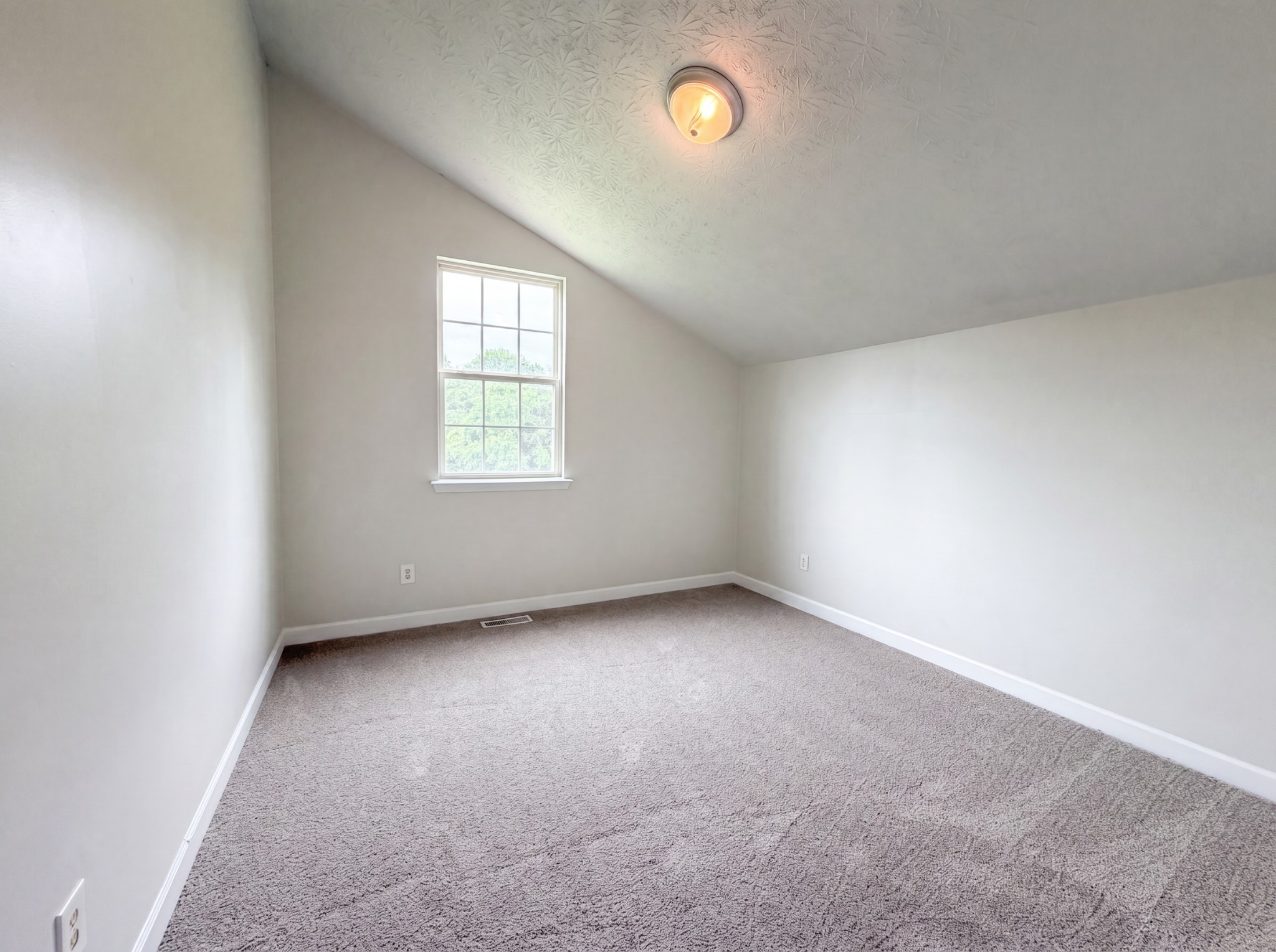 436 Scotts Creek Trl Property Photo 17