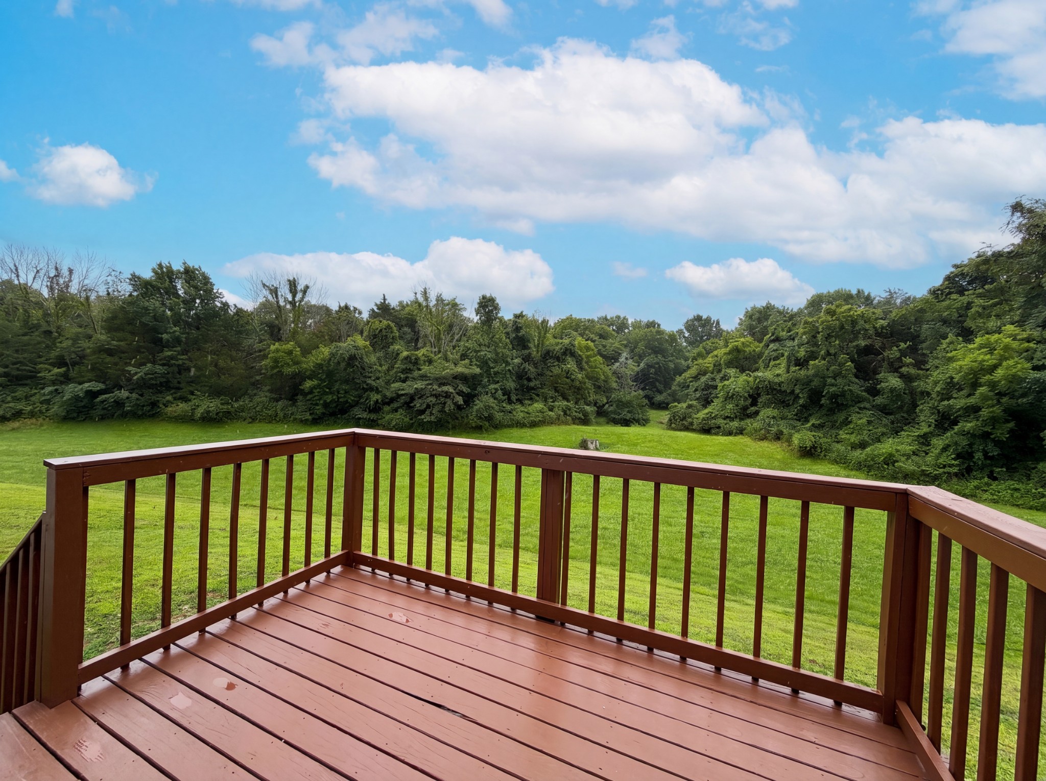436 Scotts Creek Trl Property Photo 22