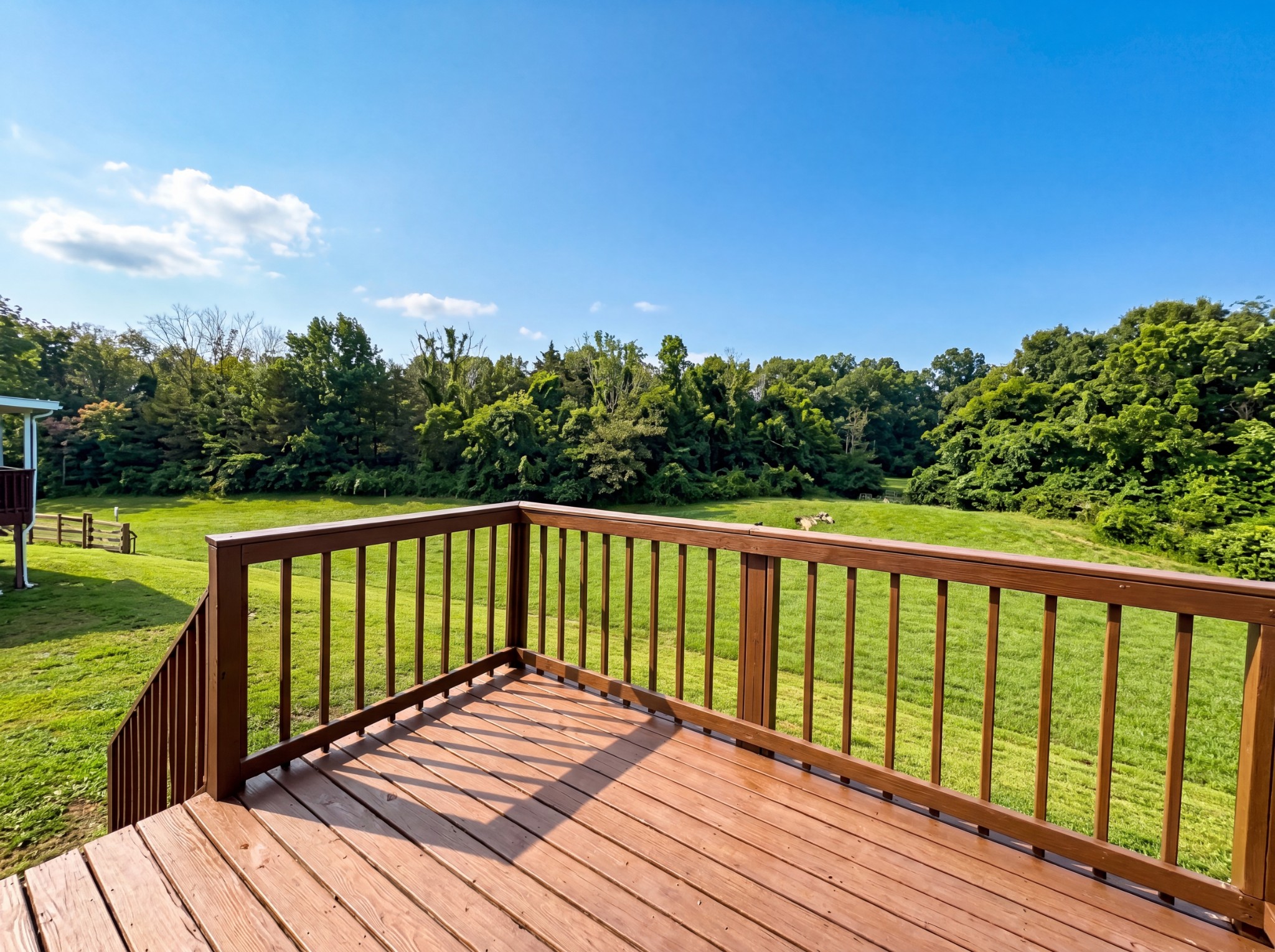 436 Scotts Creek Trl Property Photo 23