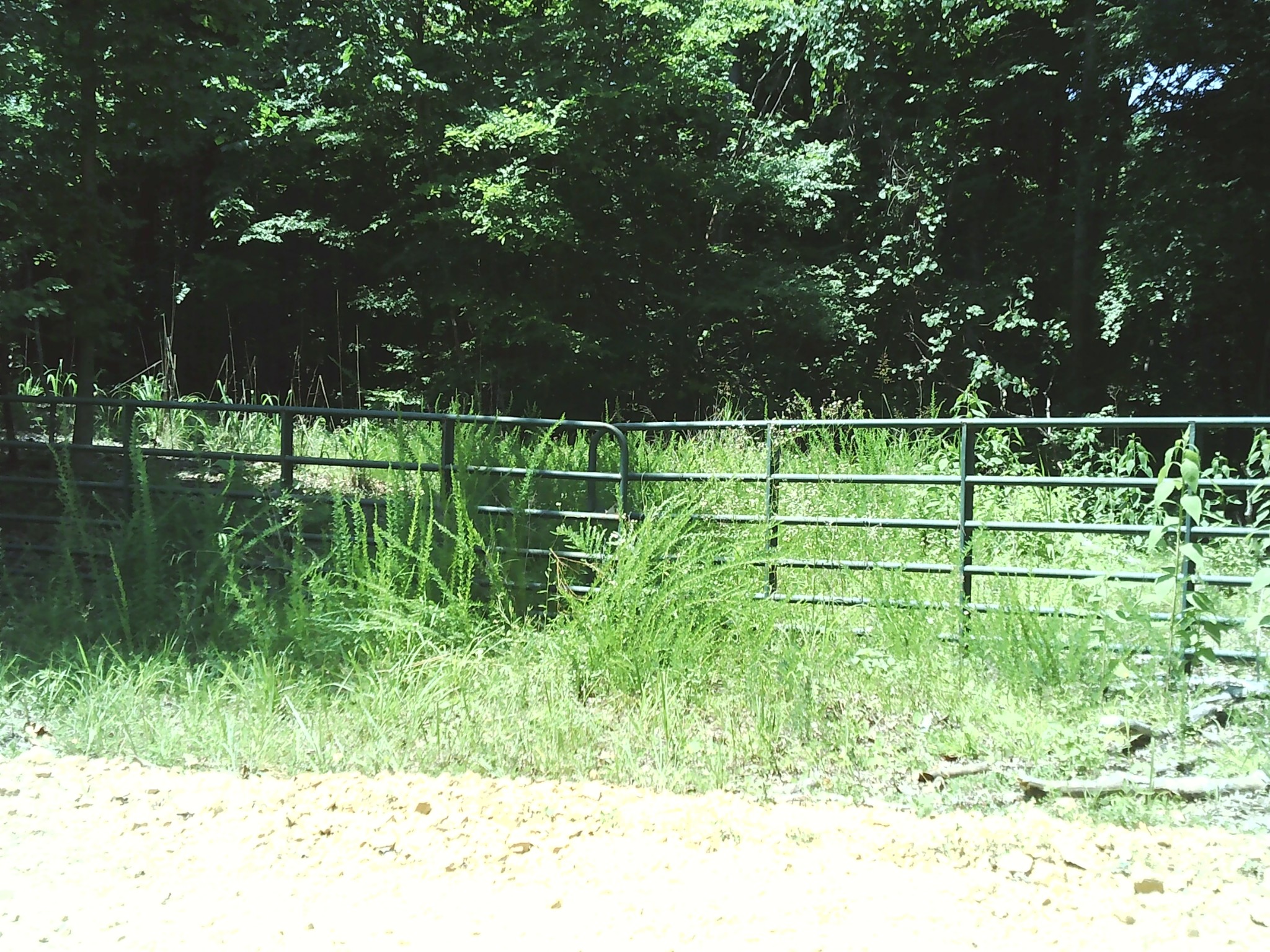 0 Hargis Rd Property Photo 1