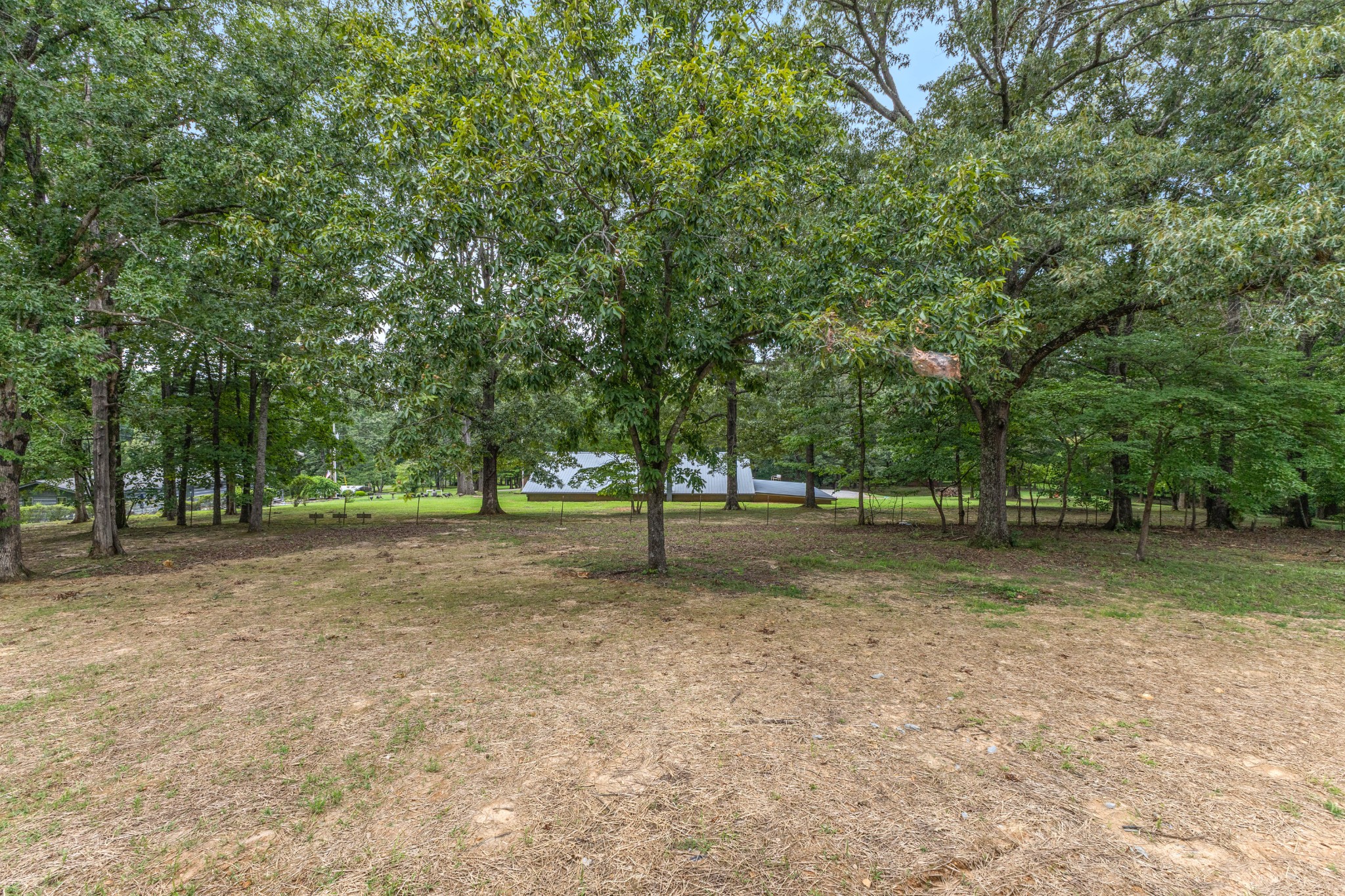 1064 Mulberry Street Property Photo 14