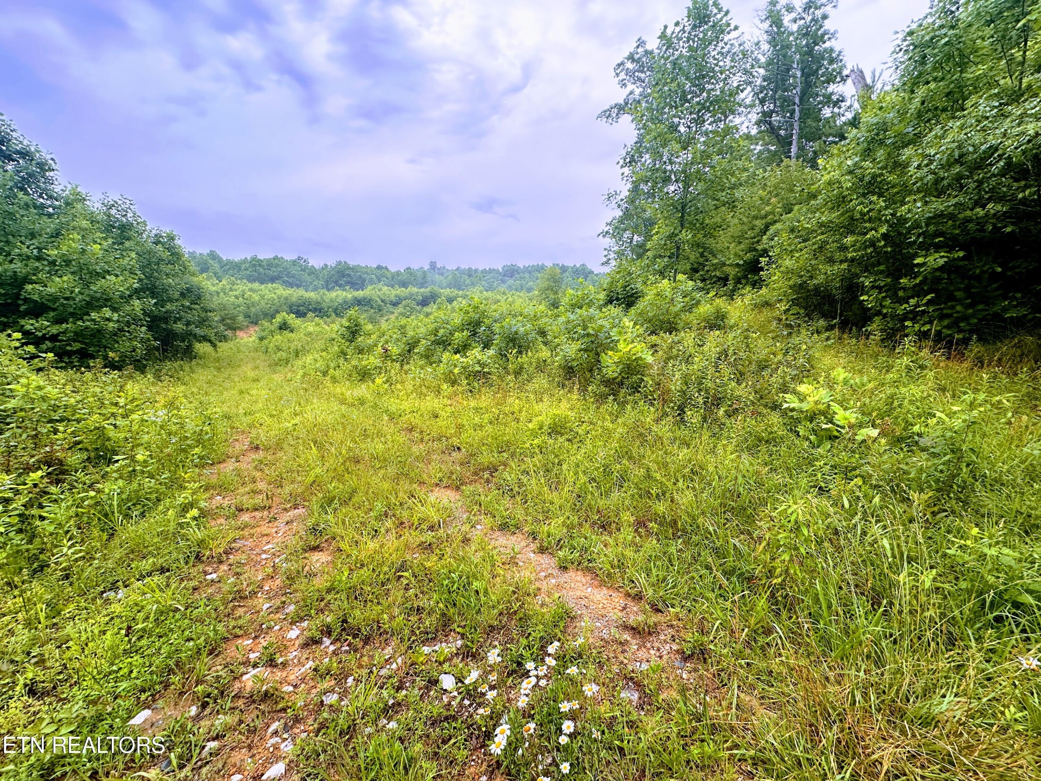 1344 Chestnut Ridge Rd Property Photo 2