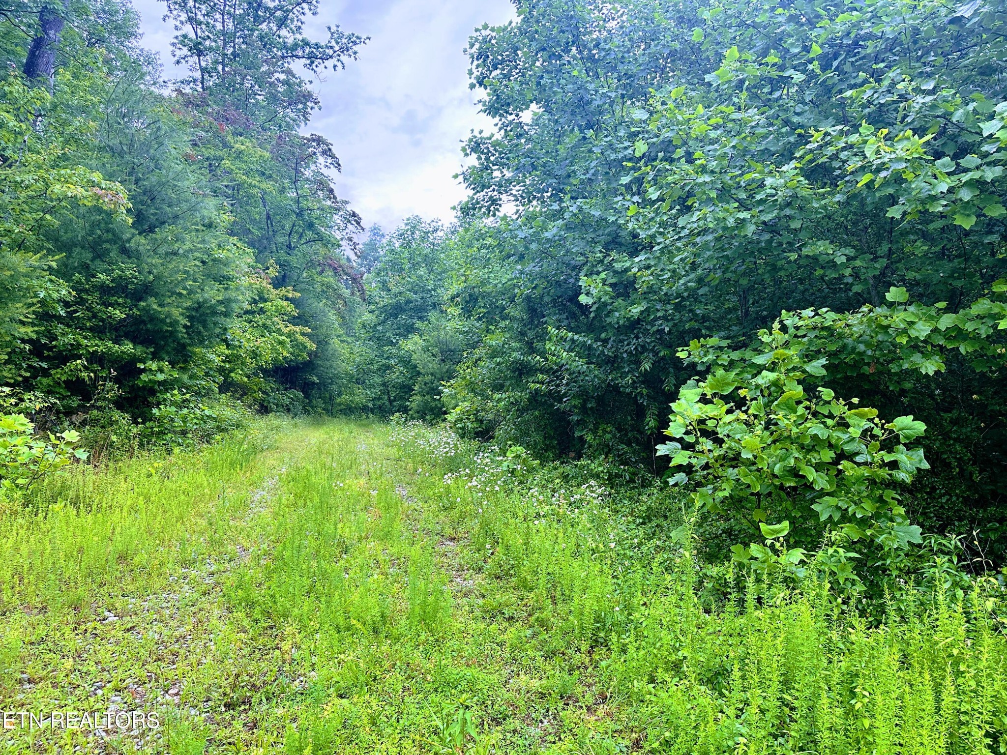 1344 Chestnut Ridge Rd Property Photo 3