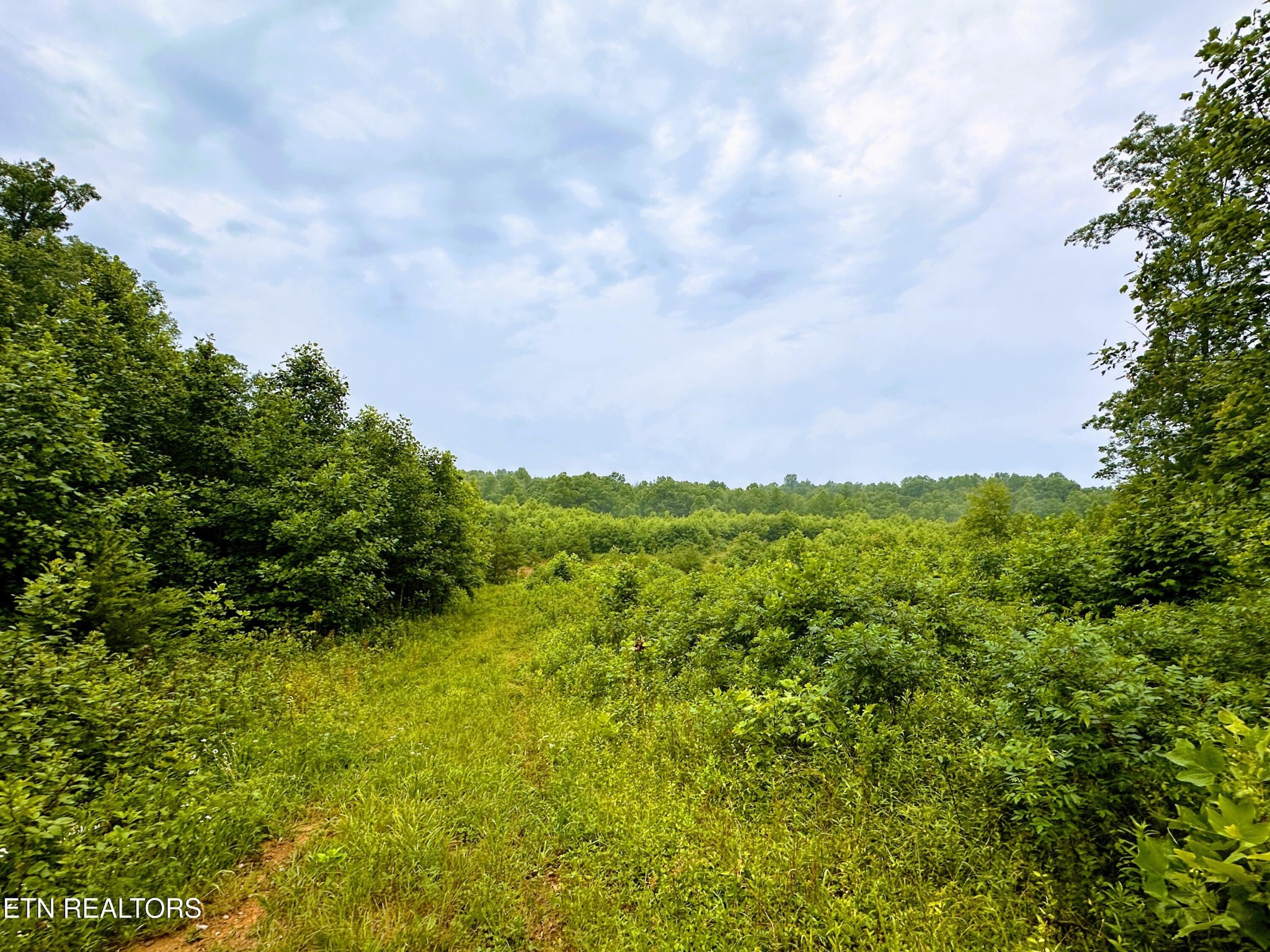 1344 Chestnut Ridge Rd Property Photo 4