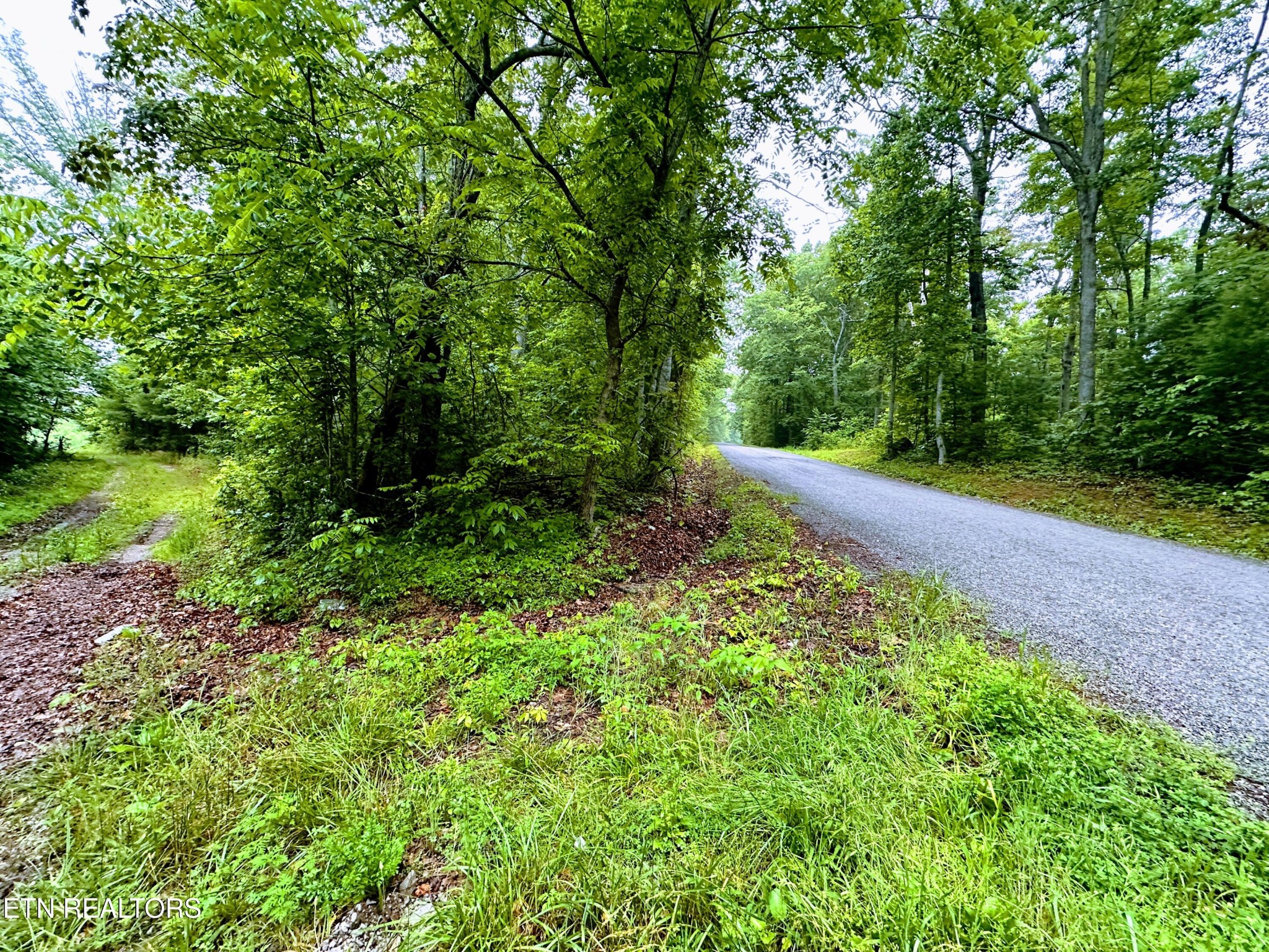 1344 Chestnut Ridge Rd Property Photo 5