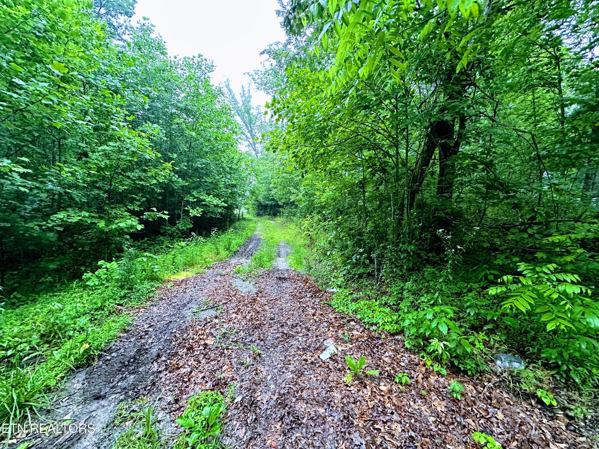 1344 Chestnut Ridge Rd Property Photo 8