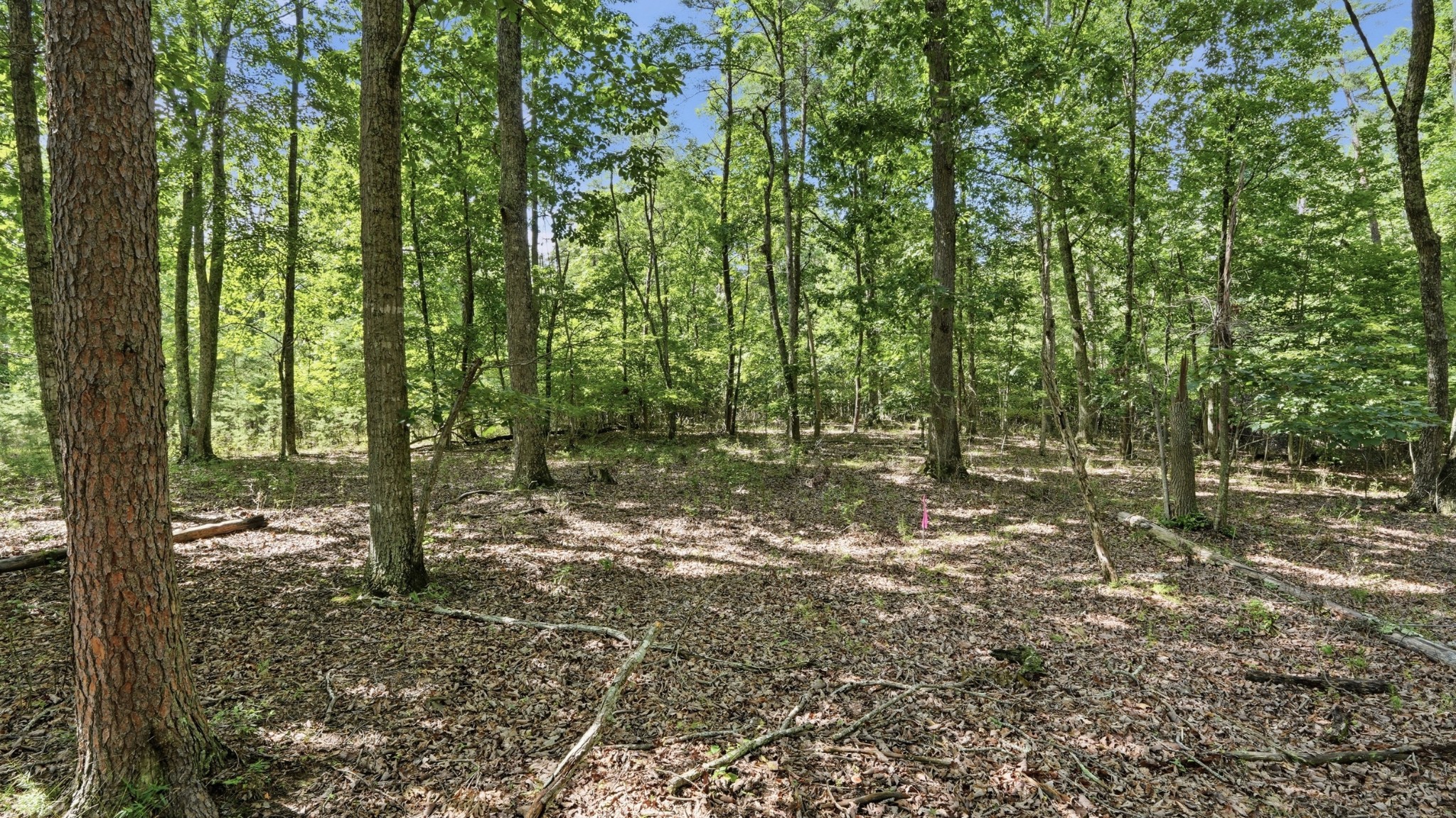 0 Eagle Crest Circle Property Photo 2