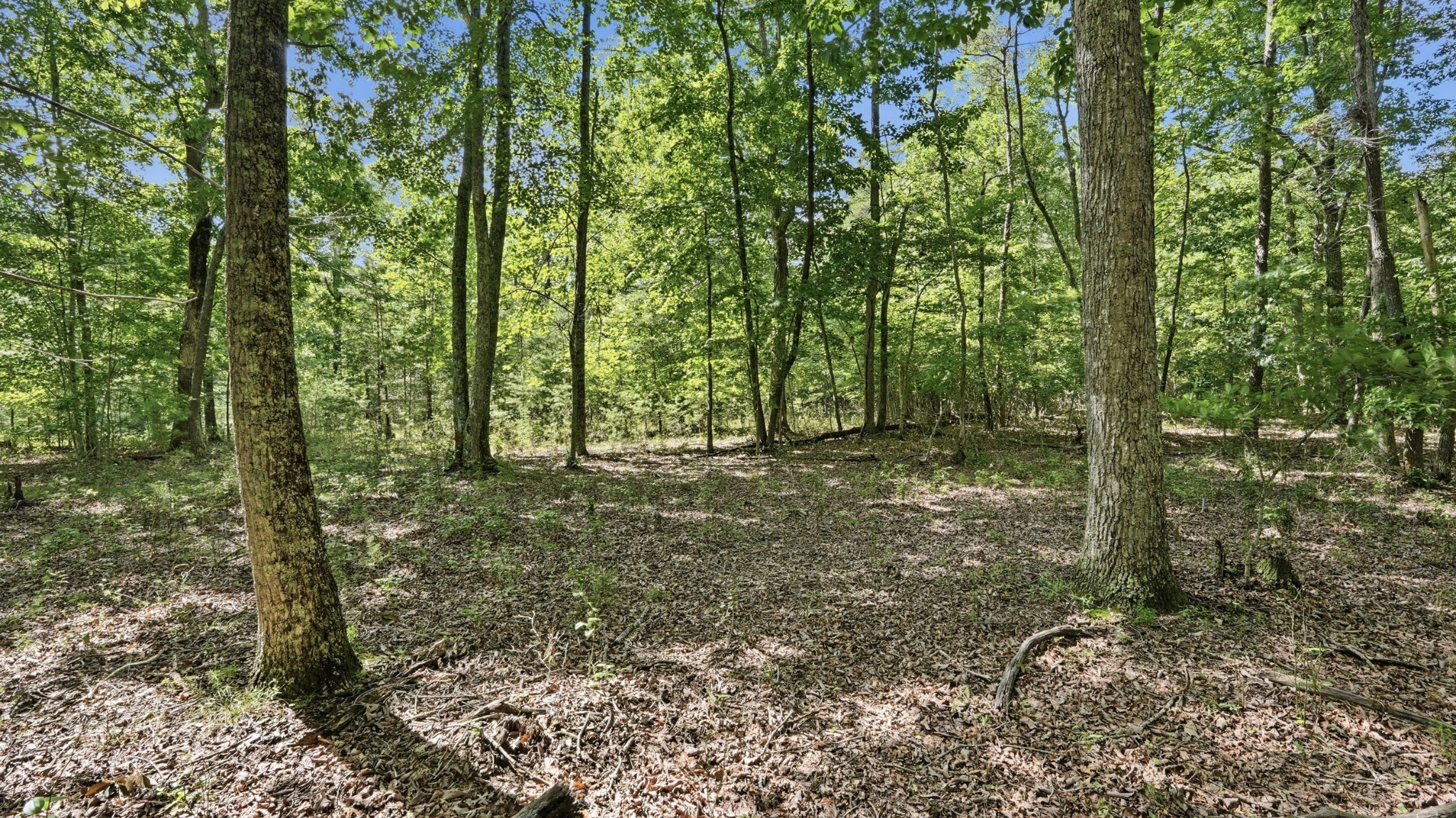 0 Eagle Crest Circle Property Photo 5