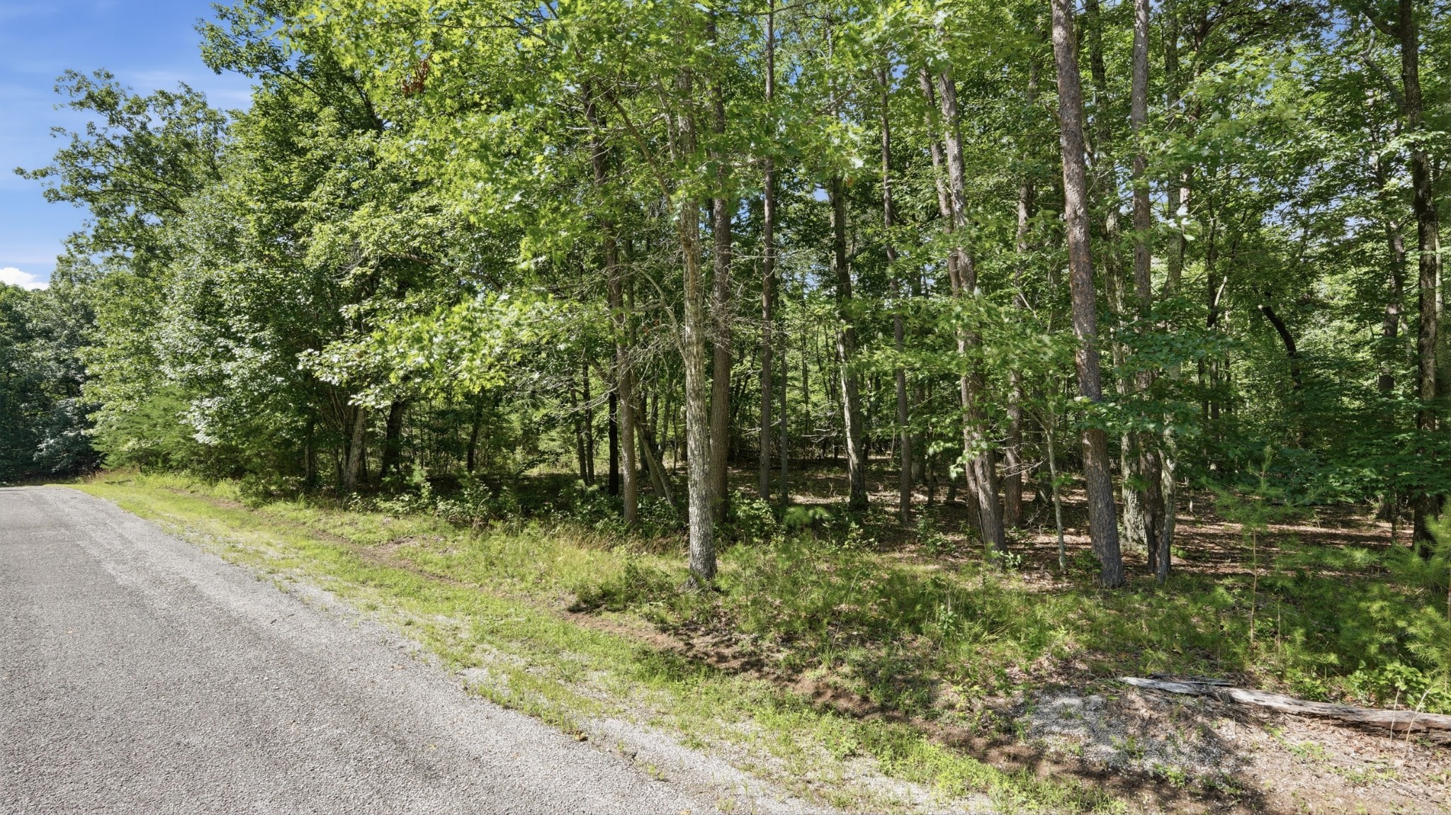 0 Eagle Crest Circle Property Photo 6