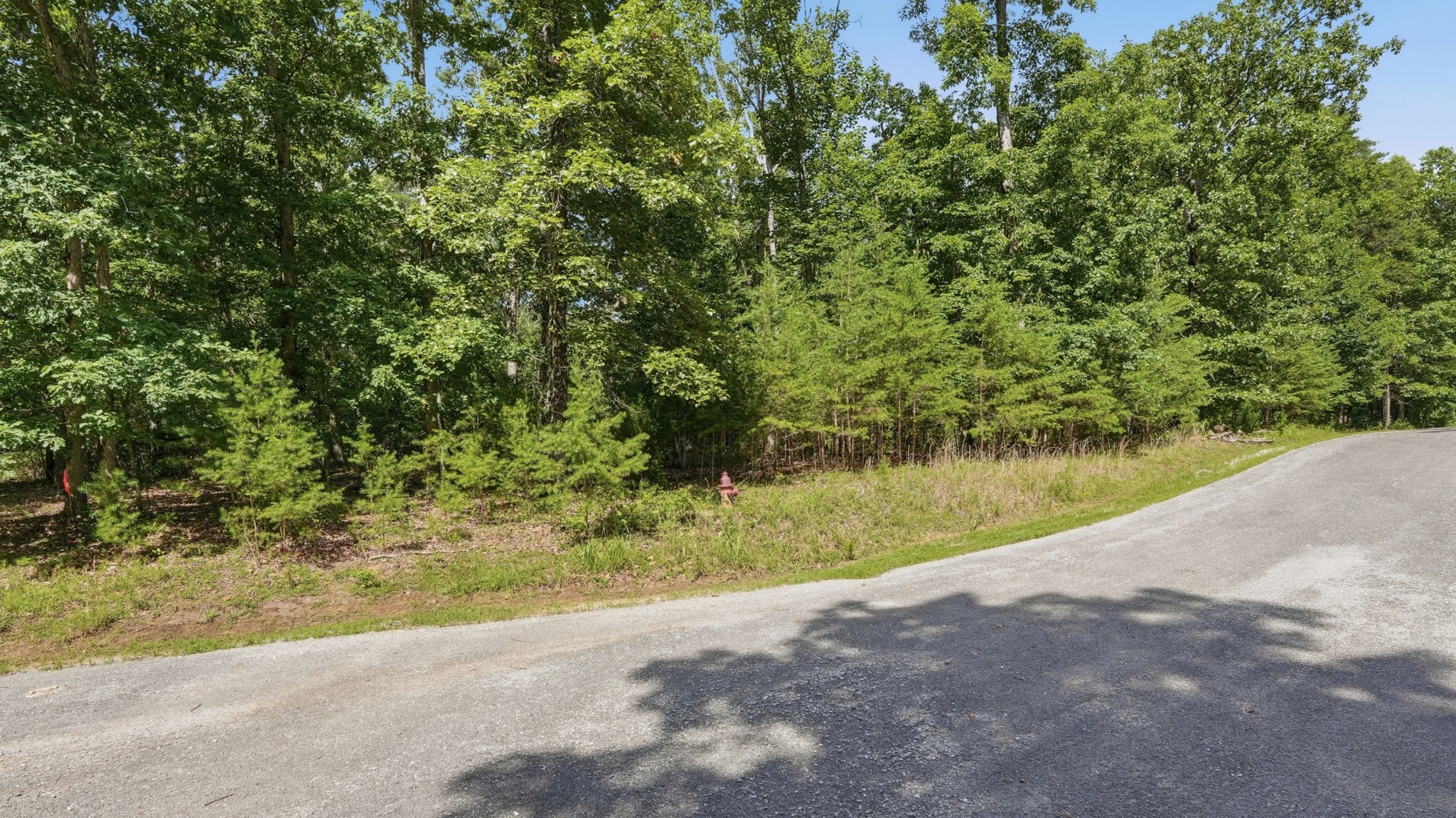 0 Eagle Crest Circle Property Photo 7