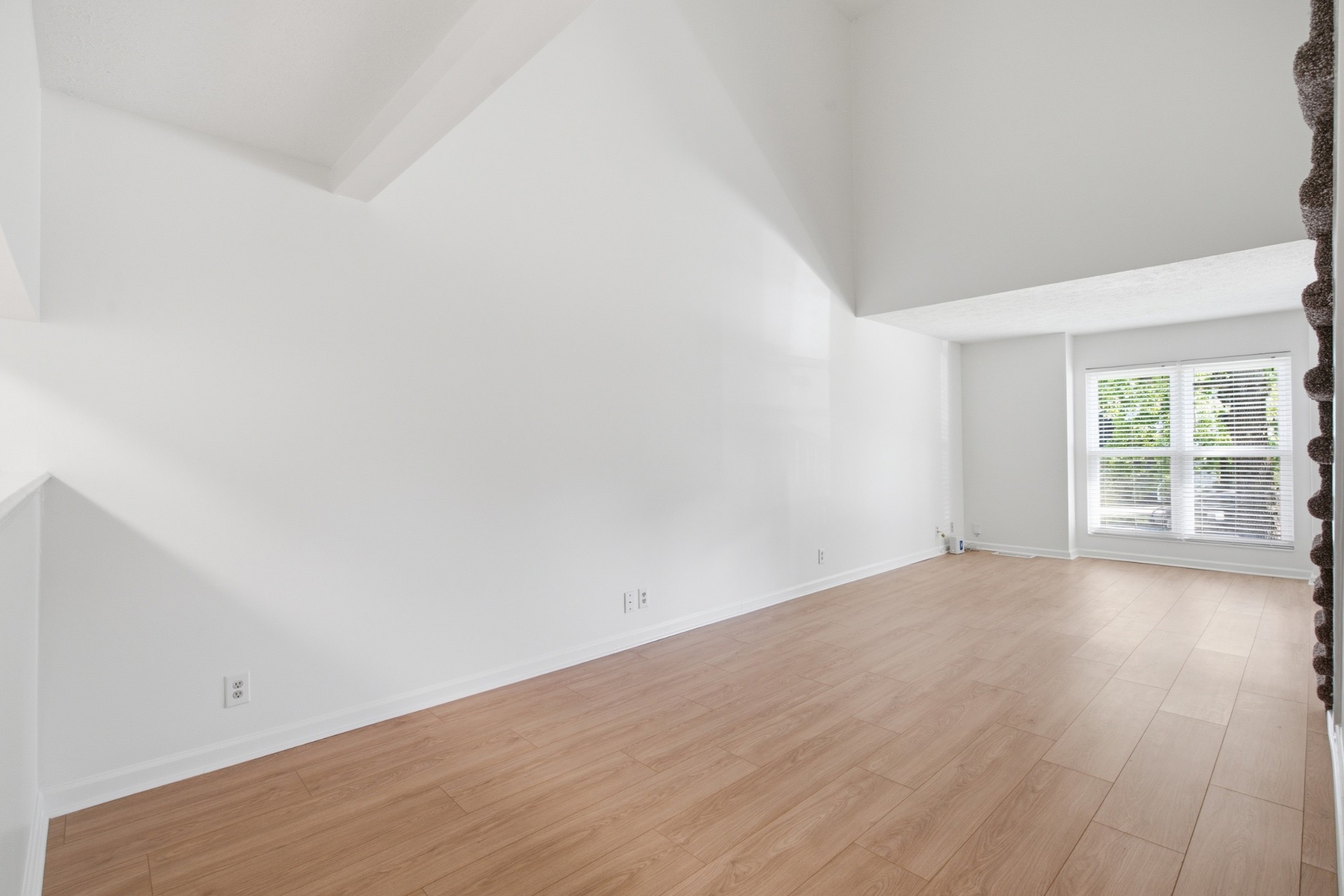 903 Rachels Pl Property Photo 7