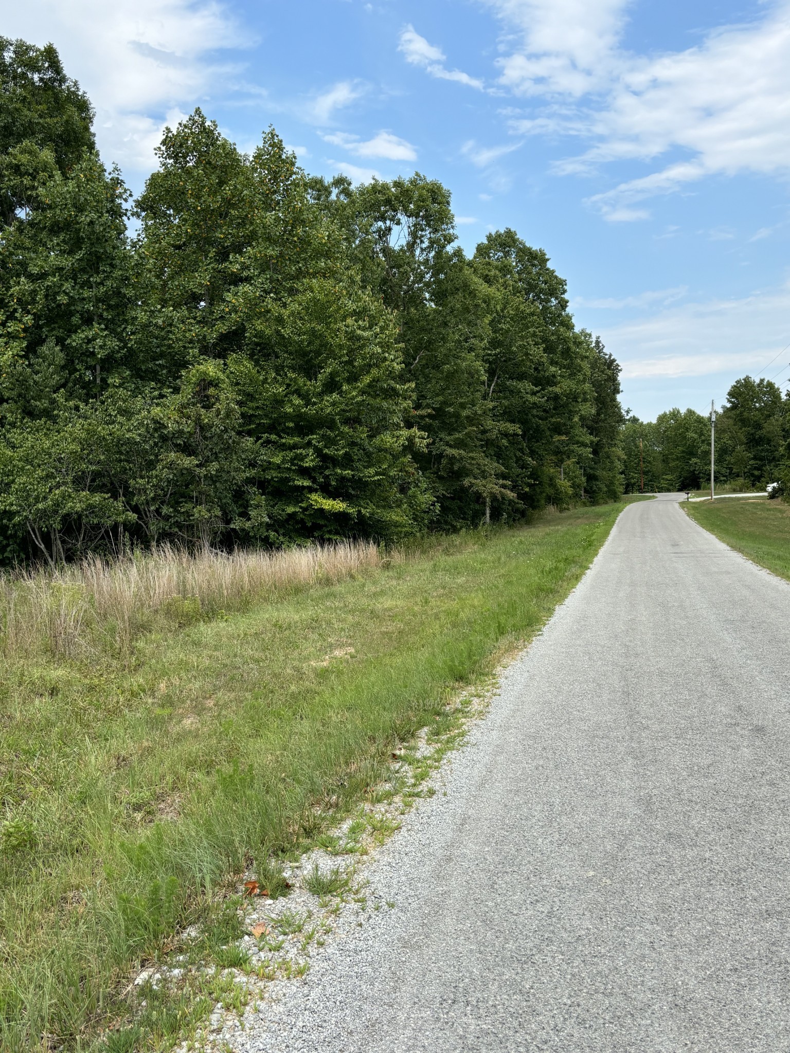257 Saddlebrook Dr Property Photo 6