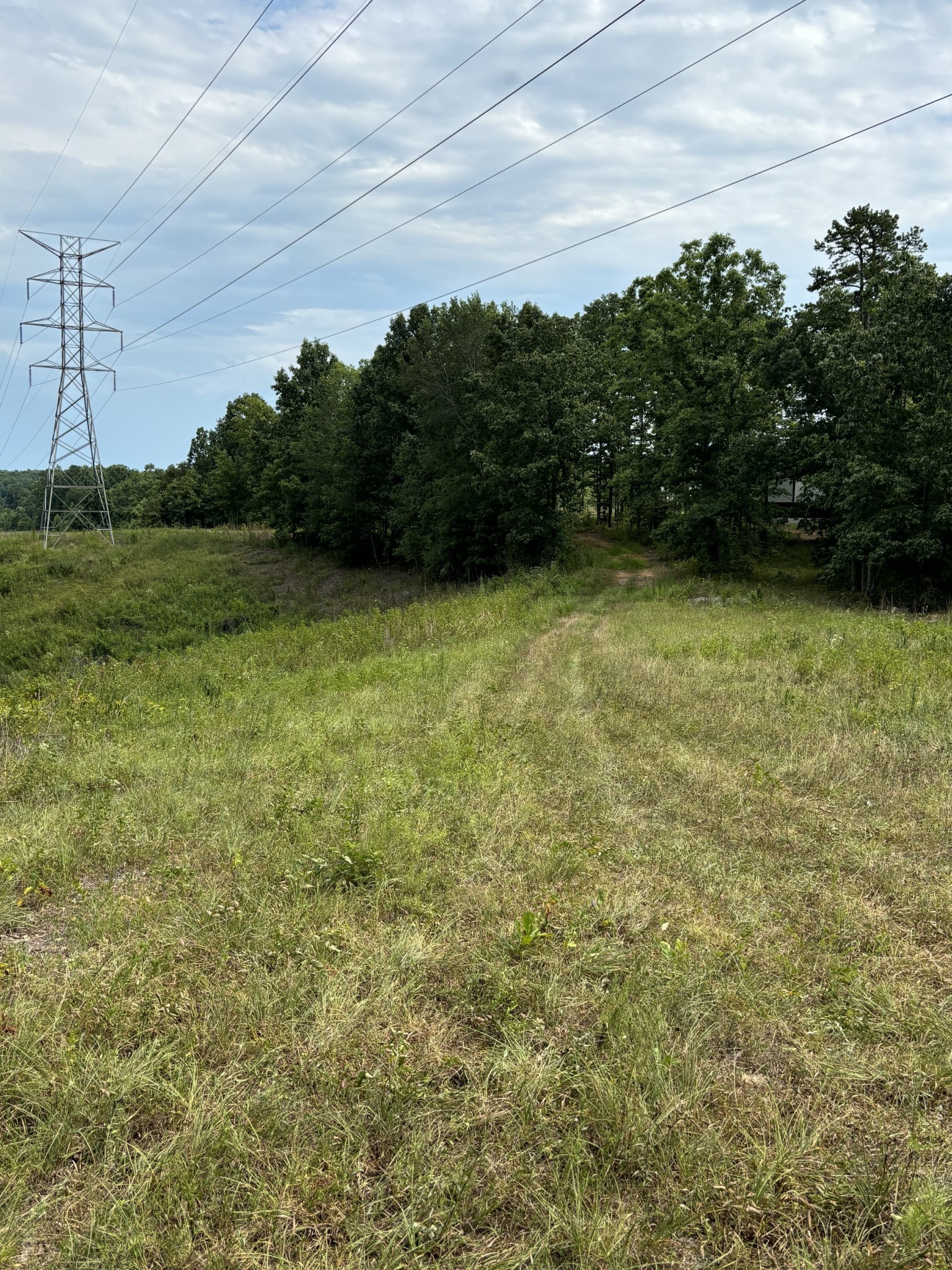257 Saddlebrook Dr Property Photo 8