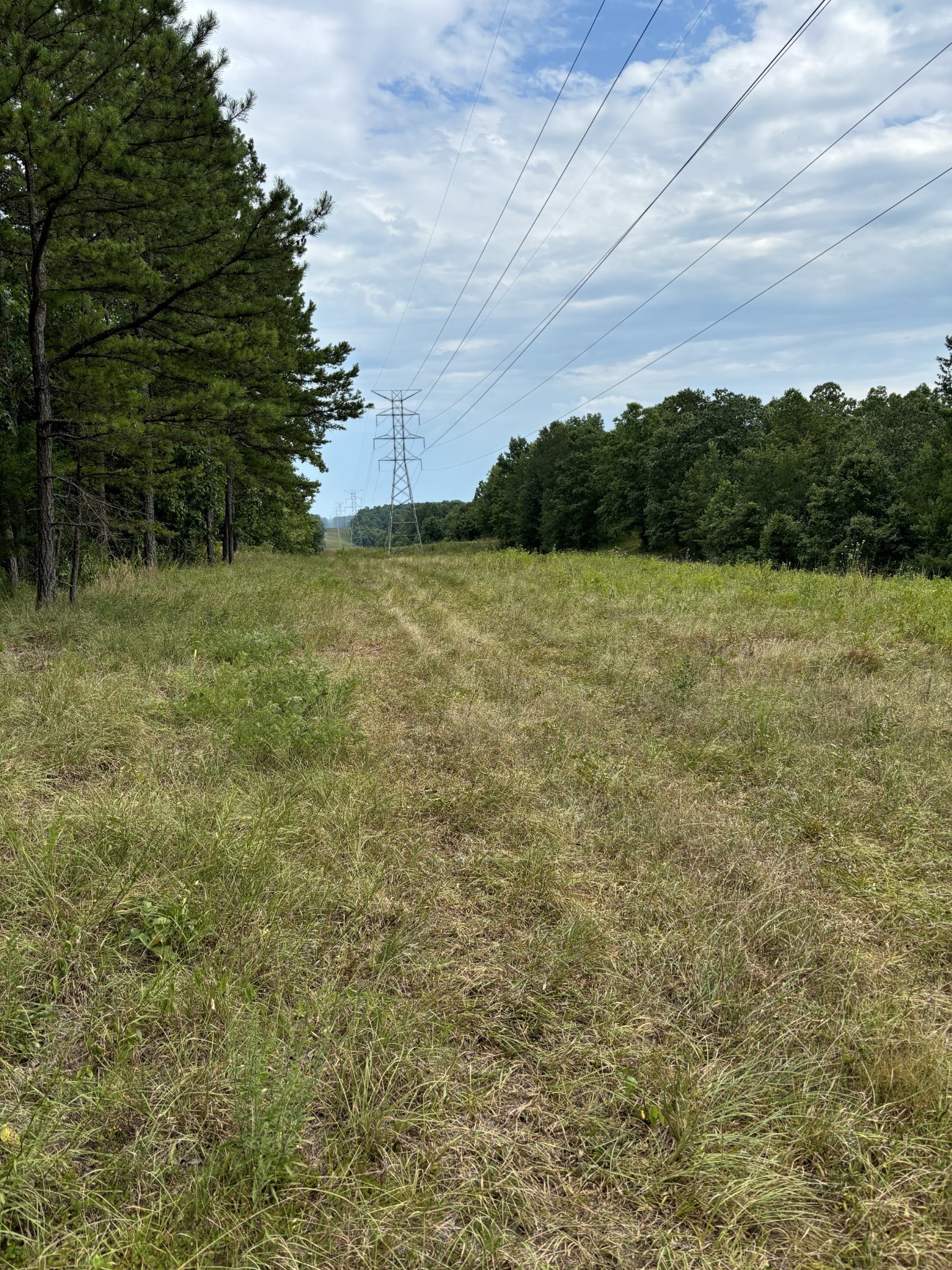 257 Saddlebrook Dr Property Photo 13
