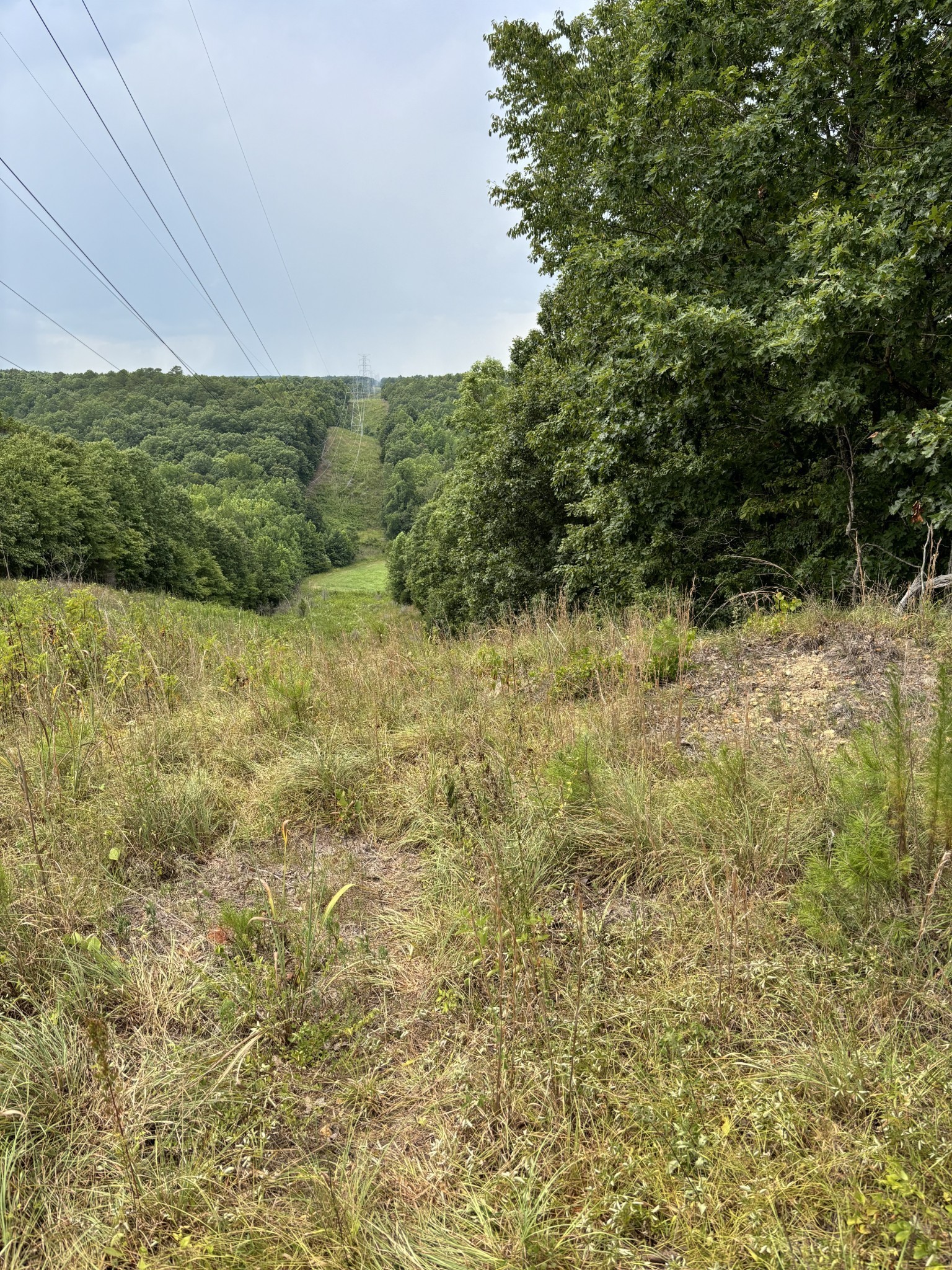 257 Saddlebrook Dr Property Photo 15