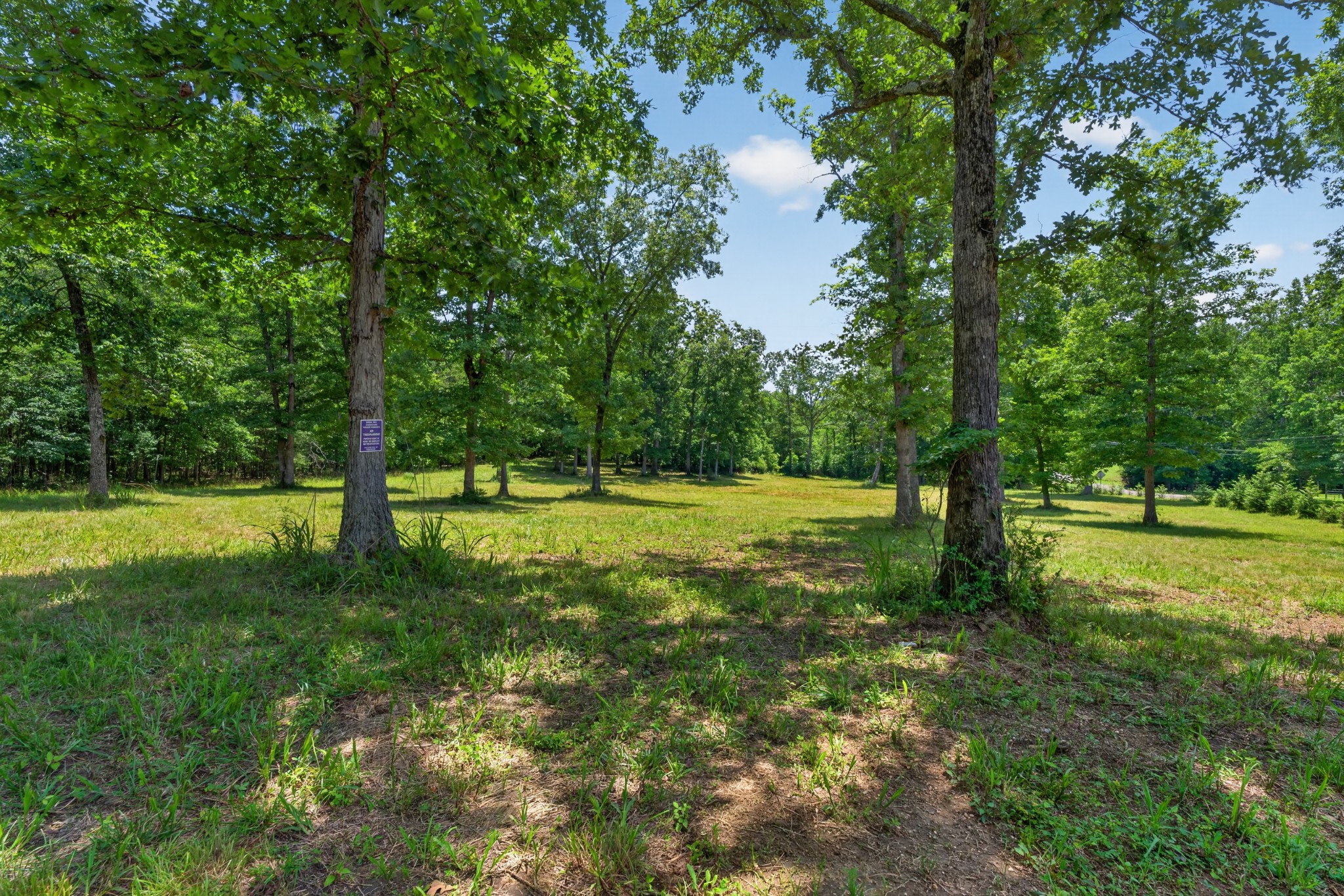 0 Monteagle Falls Rd Property Photo 1