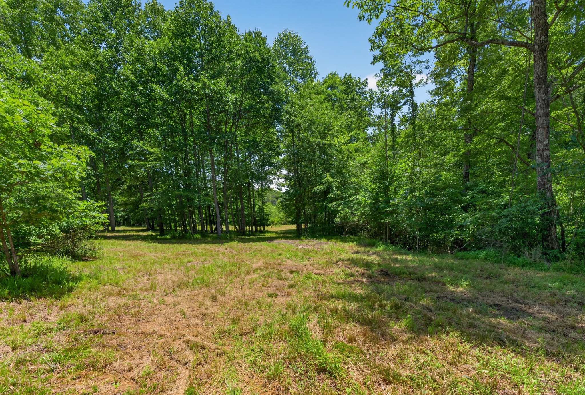 0 Monteagle Falls Rd Property Photo 6