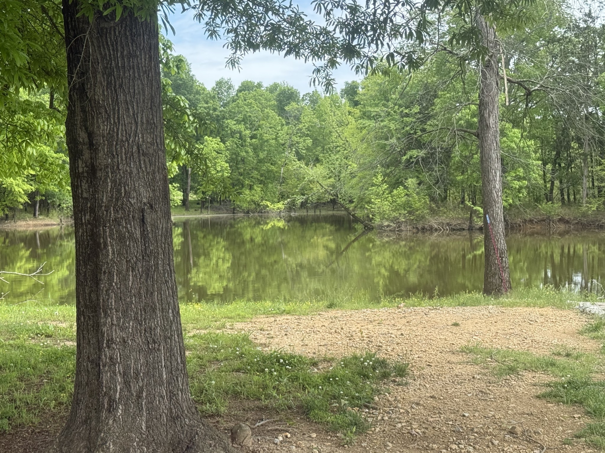 298 Duck Blind Rd Property Photo 1