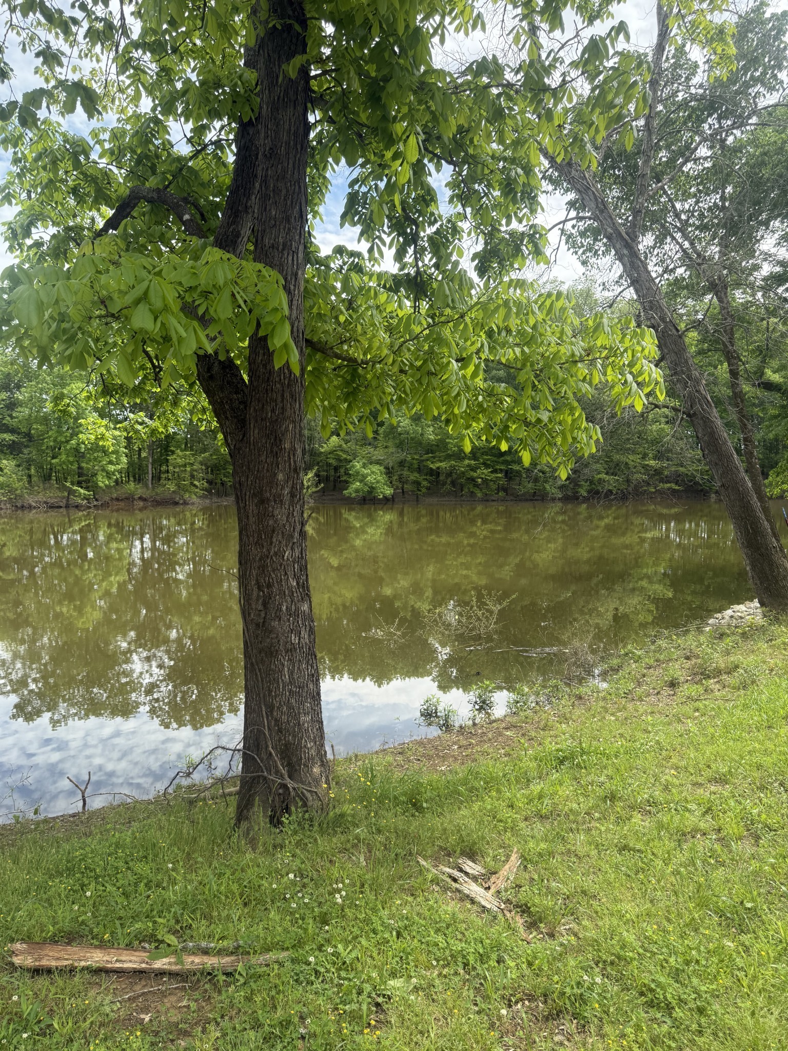 298 Duck Blind Rd Property Photo 2