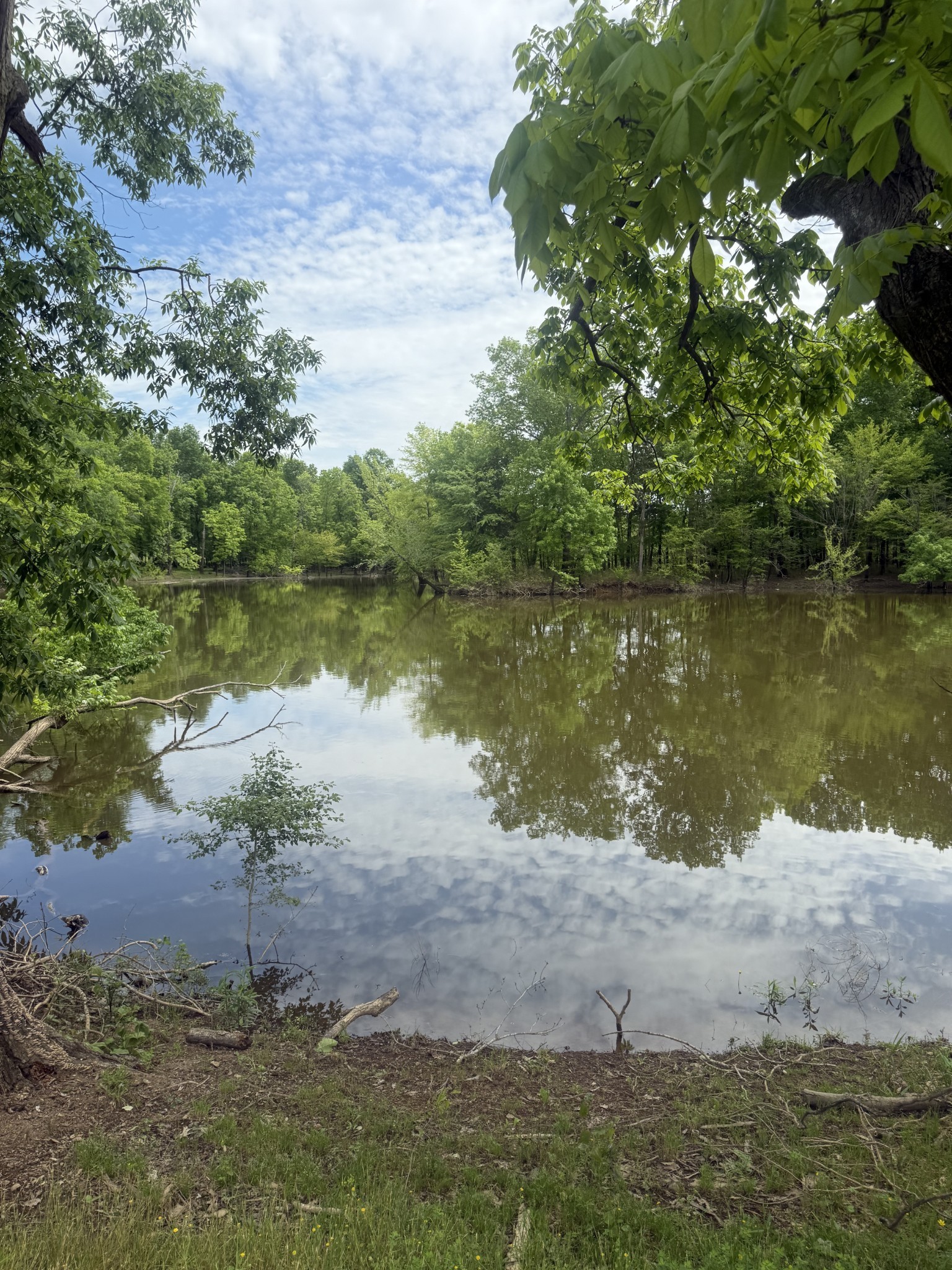 298 Duck Blind Rd Property Photo 3