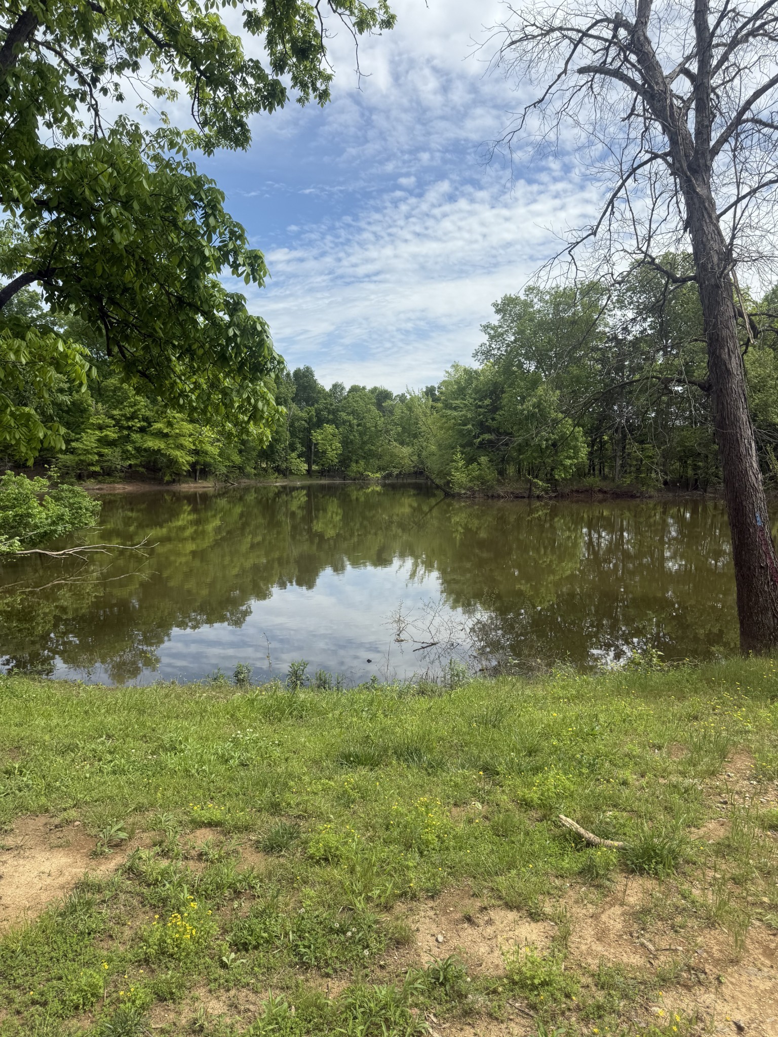 298 Duck Blind Rd Property Photo 7