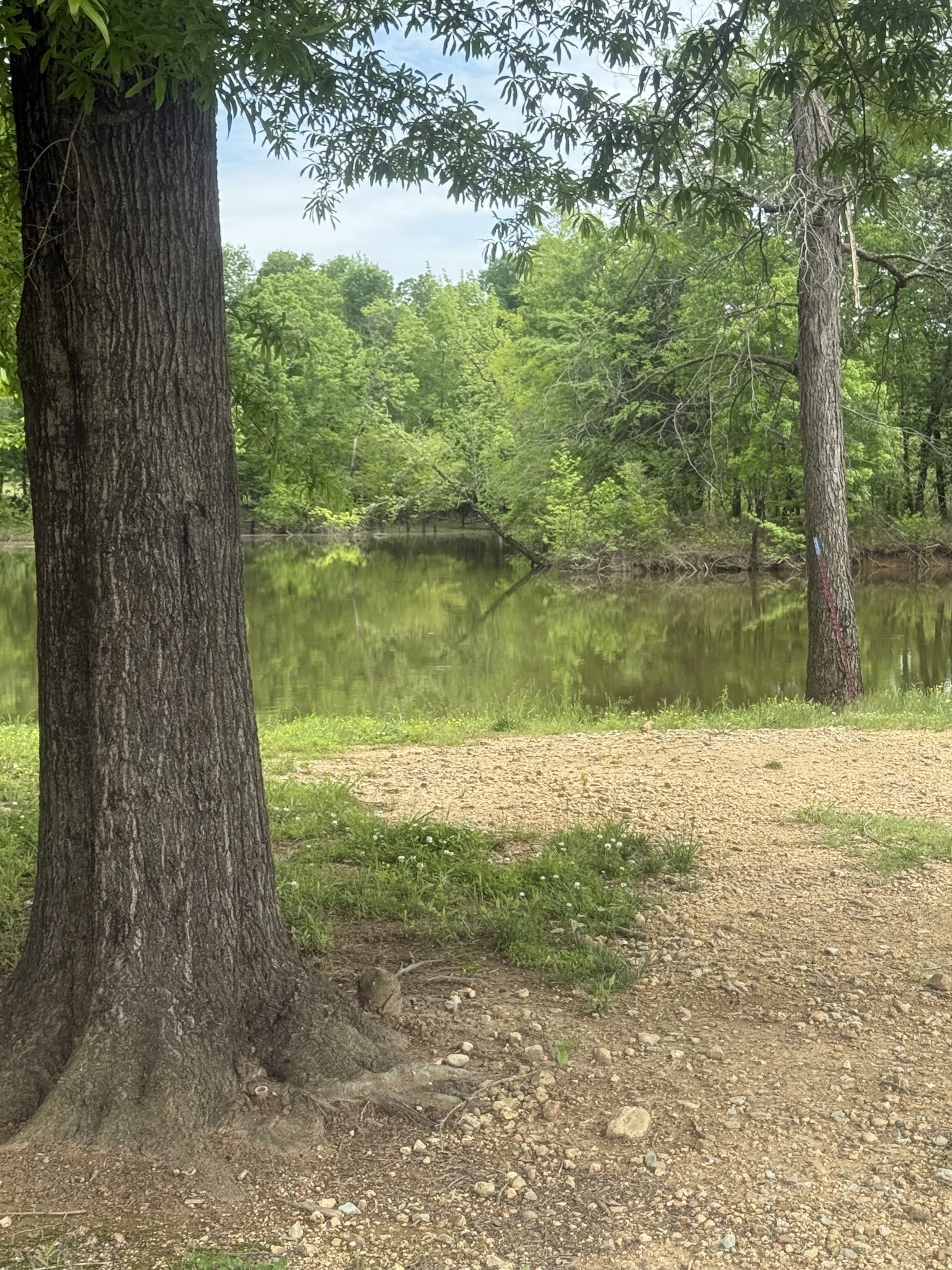 298 Duck Blind Rd Property Photo 18