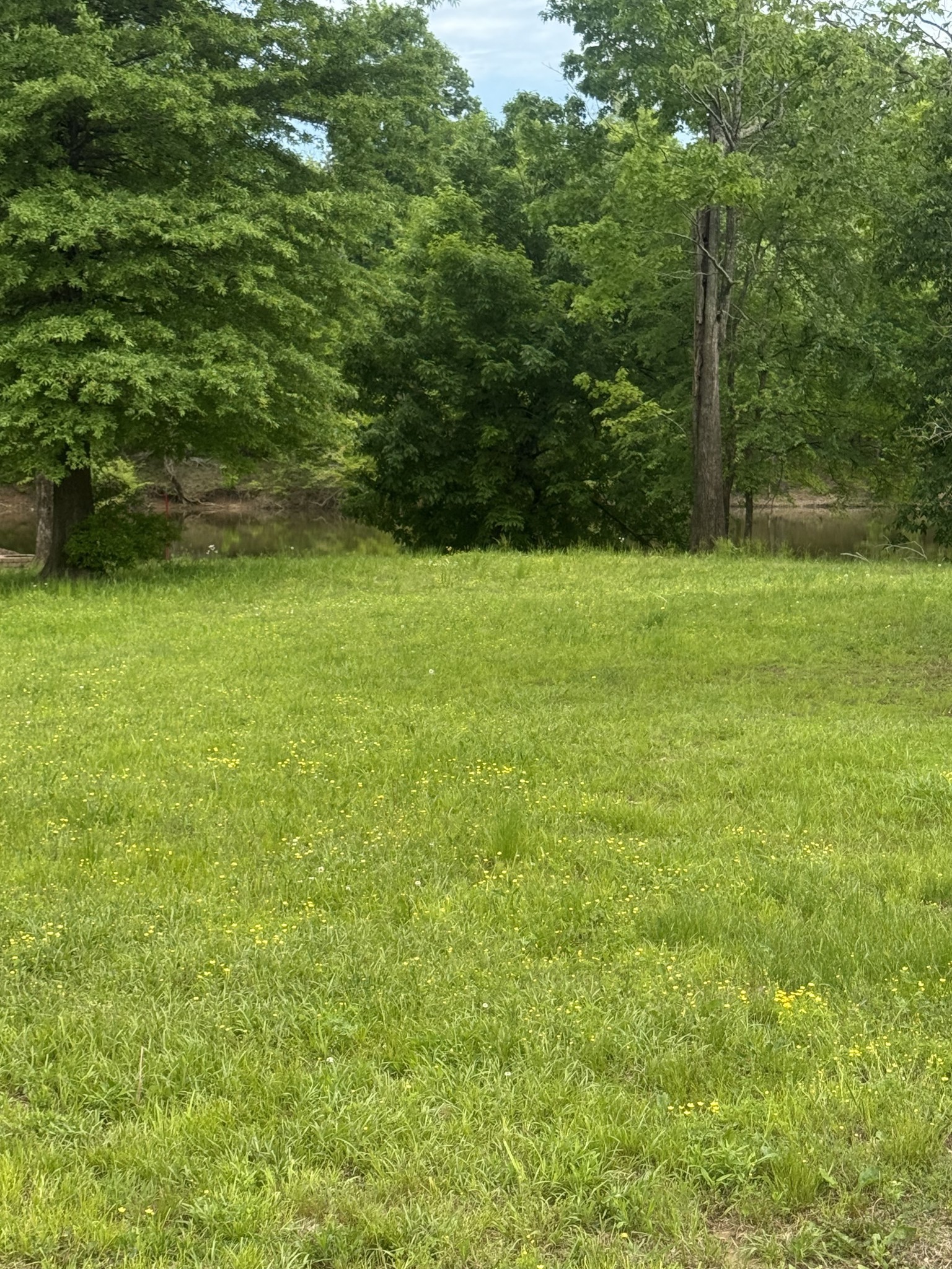 298 Duck Blind Rd Property Photo 20