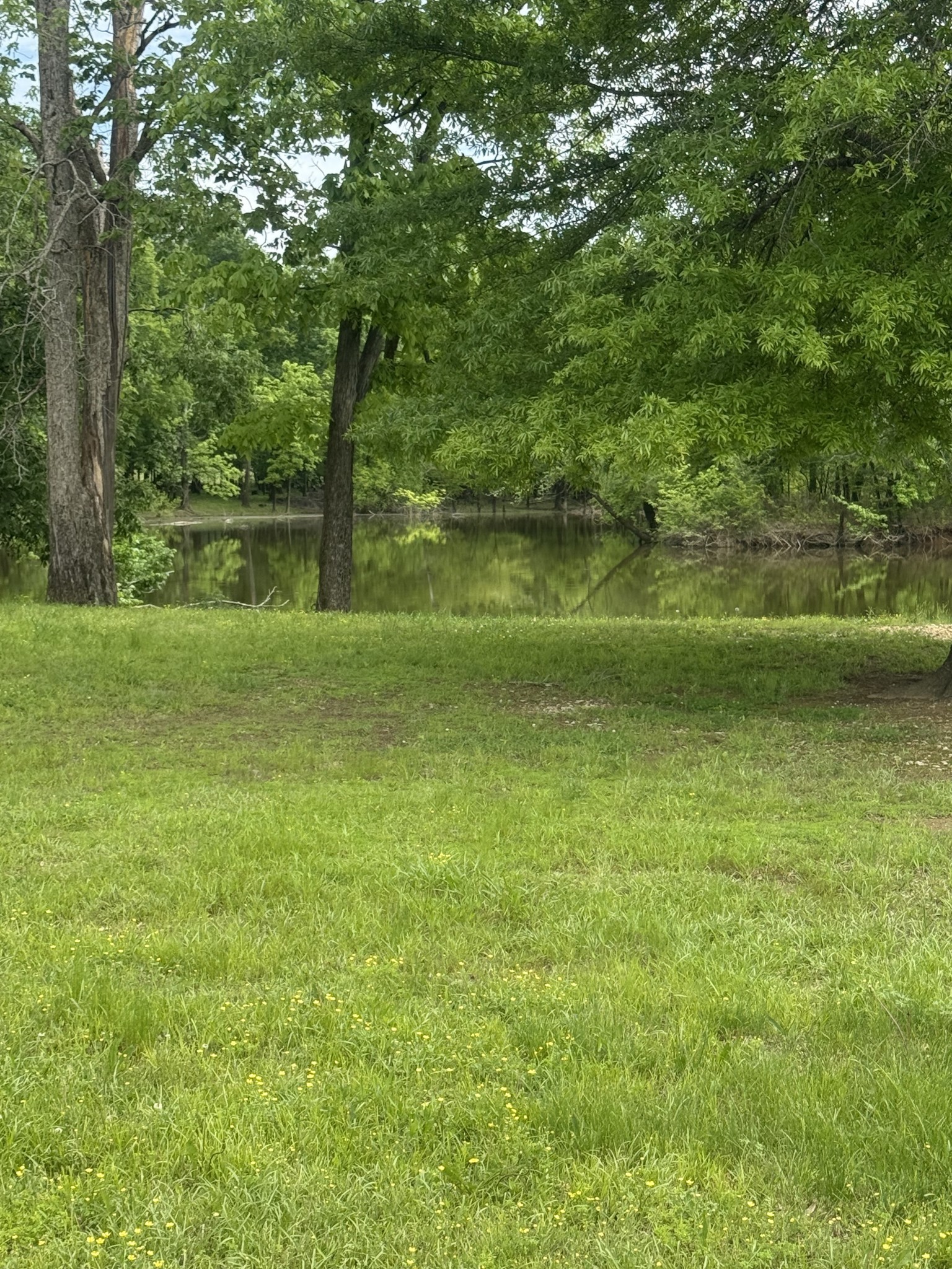 298 Duck Blind Rd Property Photo 21