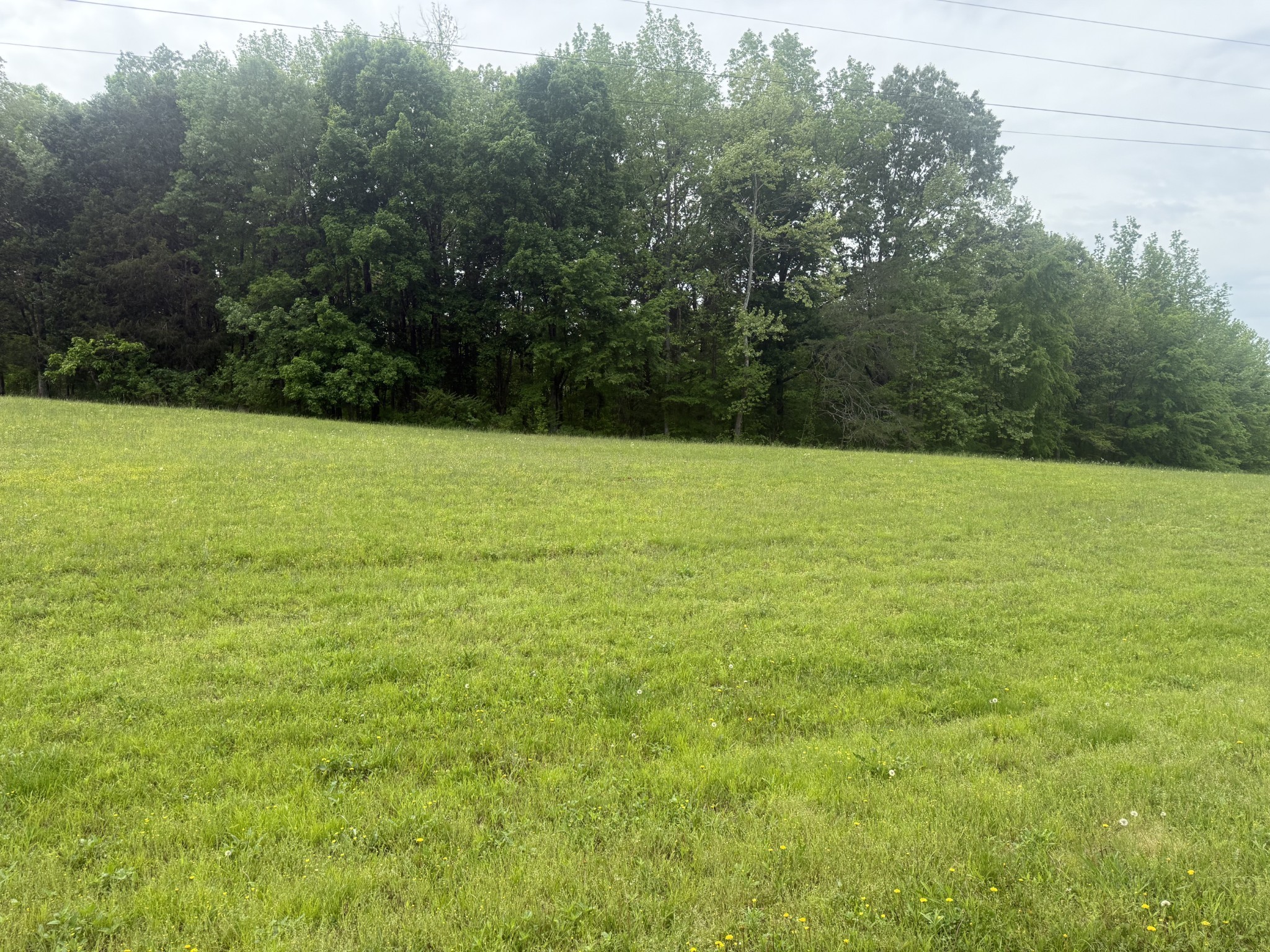 298 Duck Blind Rd Property Photo 32