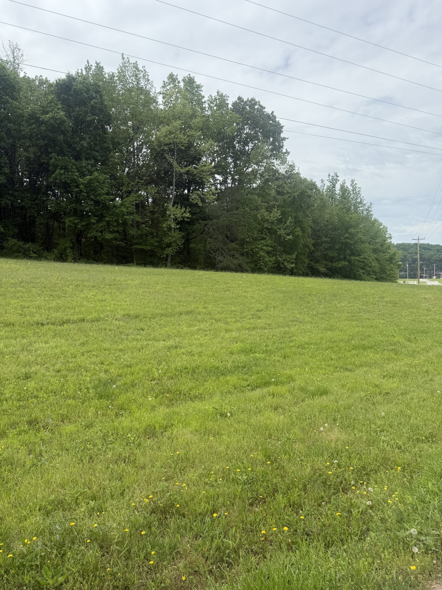 298 Duck Blind Rd Property Photo 34
