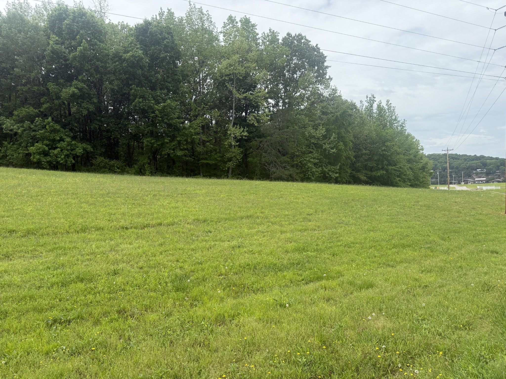 298 Duck Blind Rd Property Photo 35