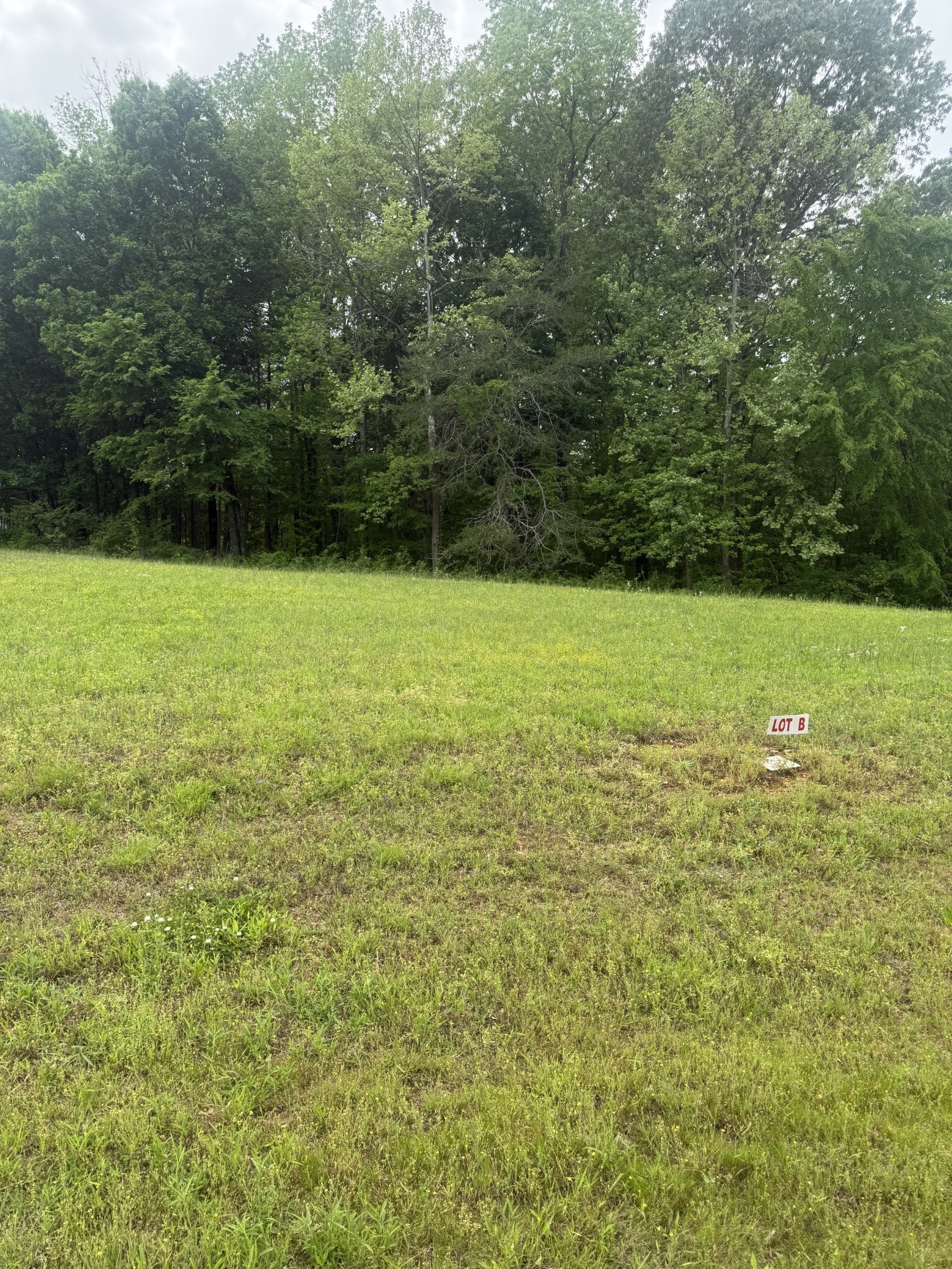 298 Duck Blind Rd Property Photo 36