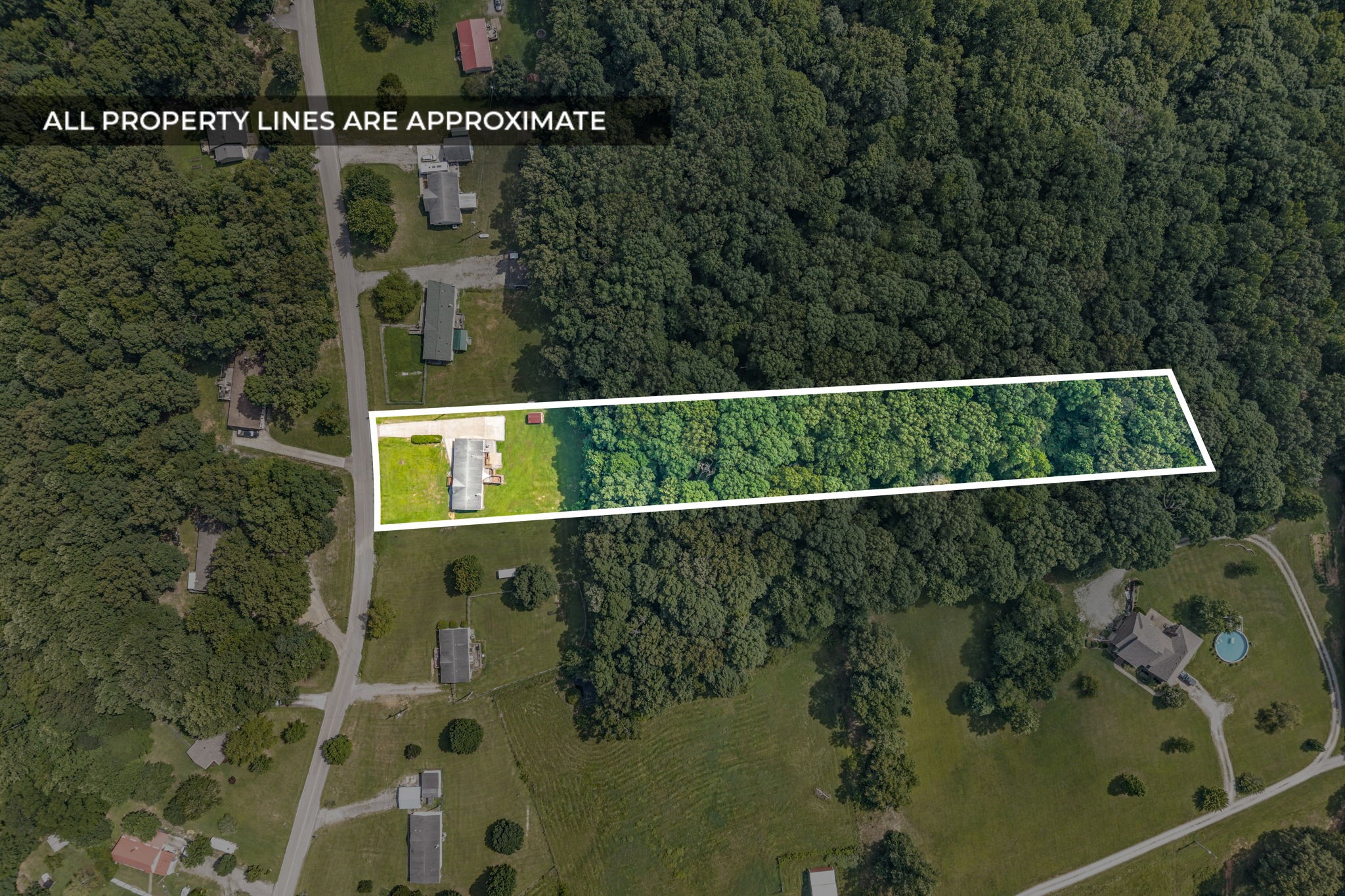 4736 Mickle Ln Property Photo 5