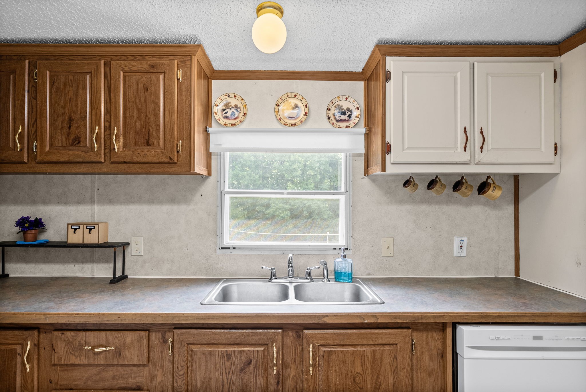 4736 Mickle Ln Property Photo 17