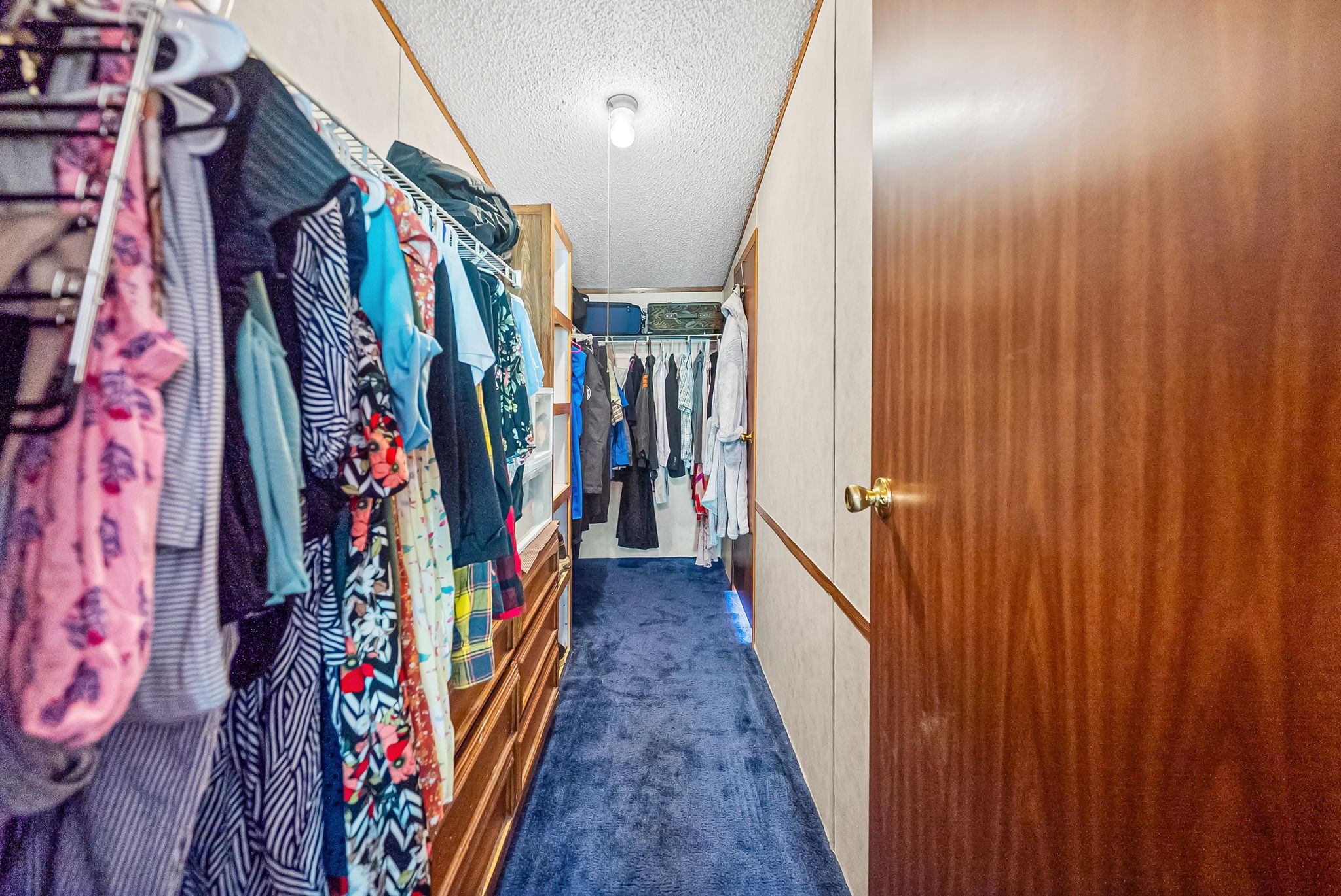 4736 Mickle Ln Property Photo 22