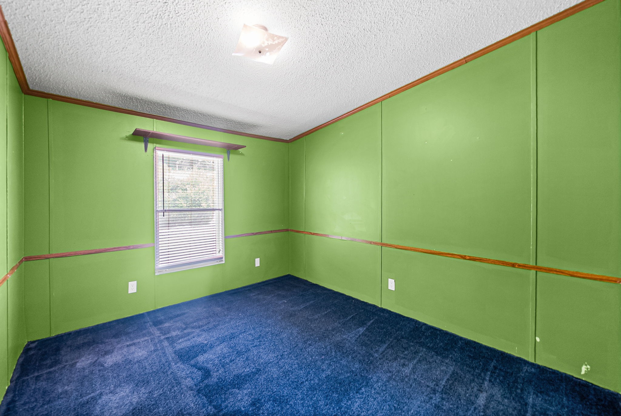 4736 Mickle Ln Property Photo 32