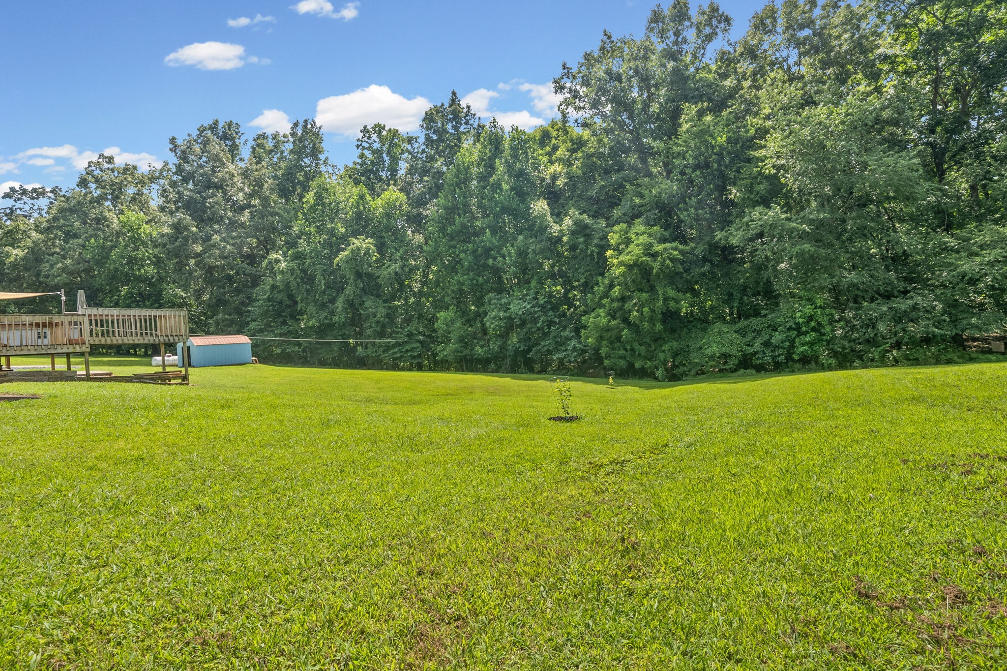 4736 Mickle Ln Property Photo 36
