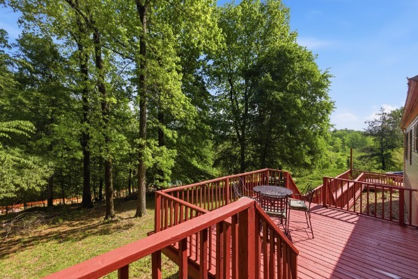 230 E Piney Rd Property Photo 4