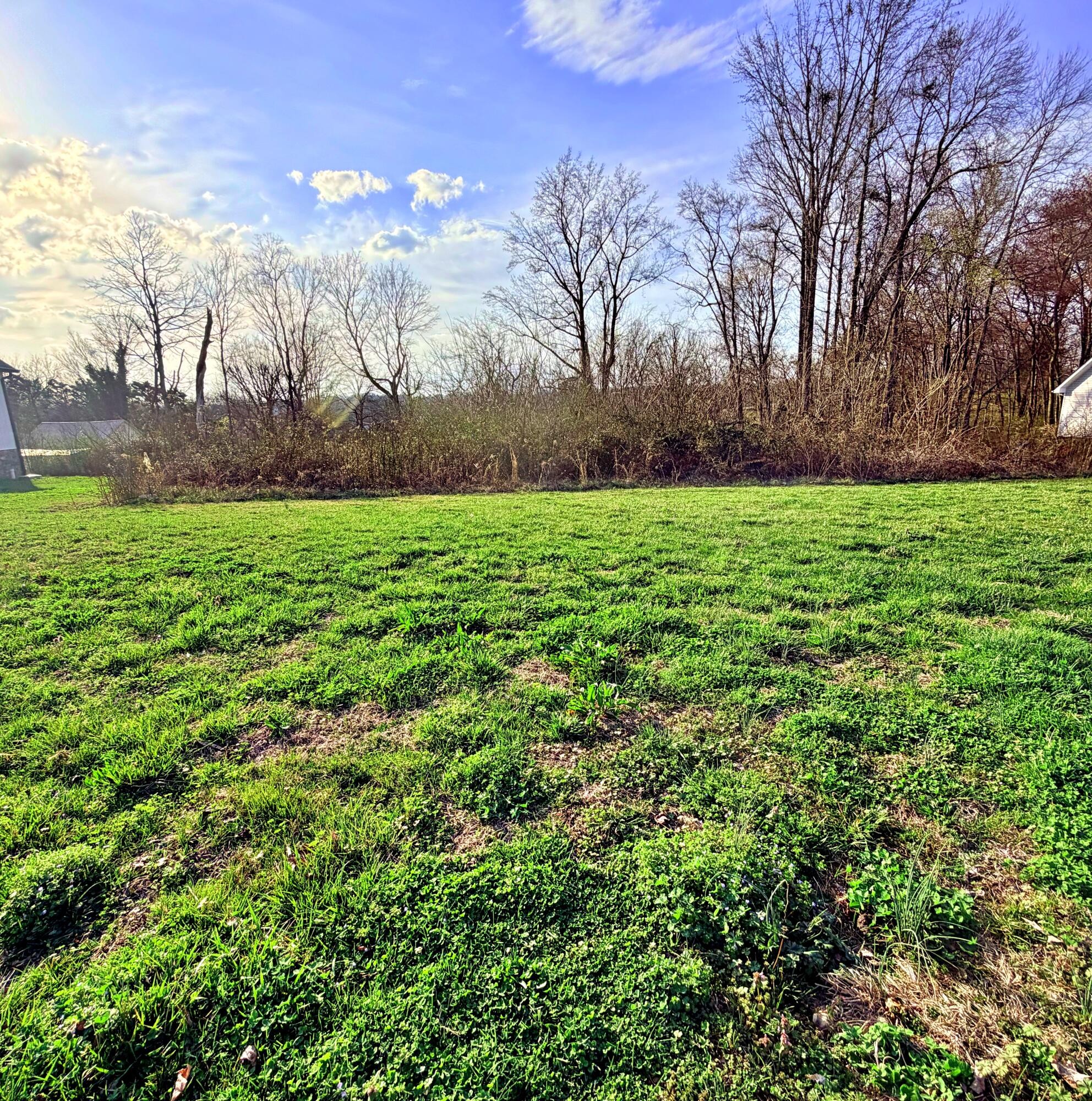 103 Shadows Lawn Drive Property Photo 1