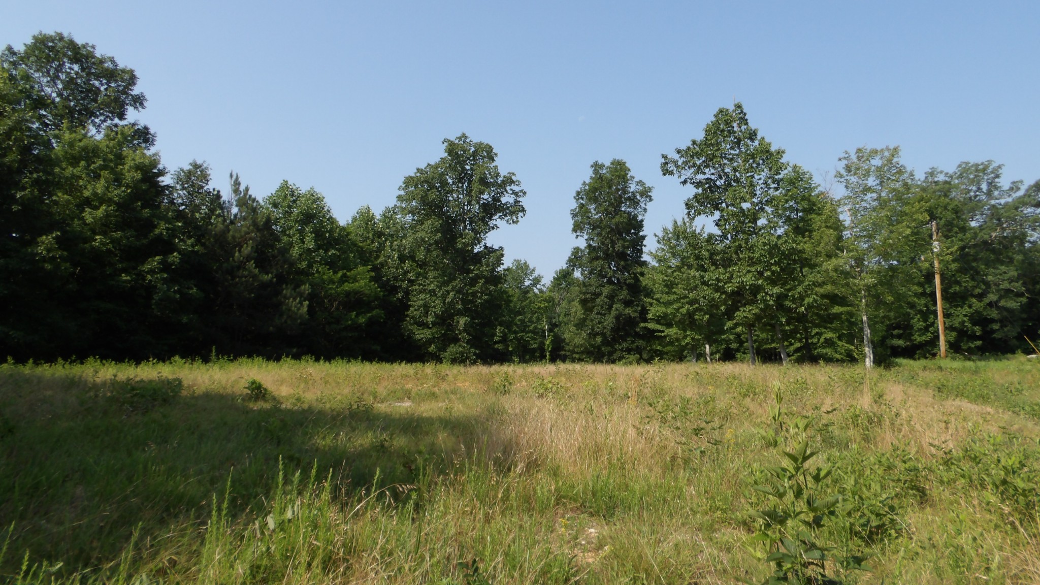 580 Pleasant Cemetery Lane Property Photo 1