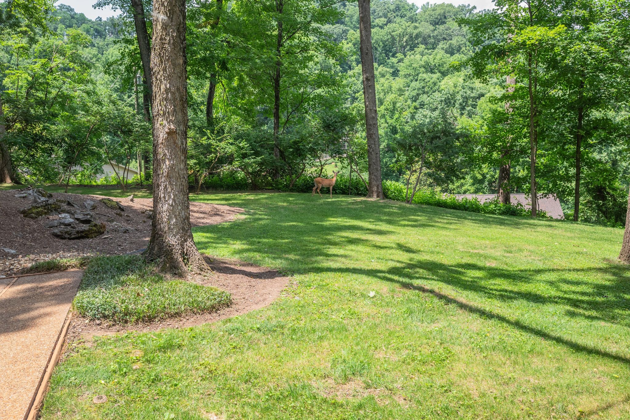 945 Forest Acres Ct Property Photo 37