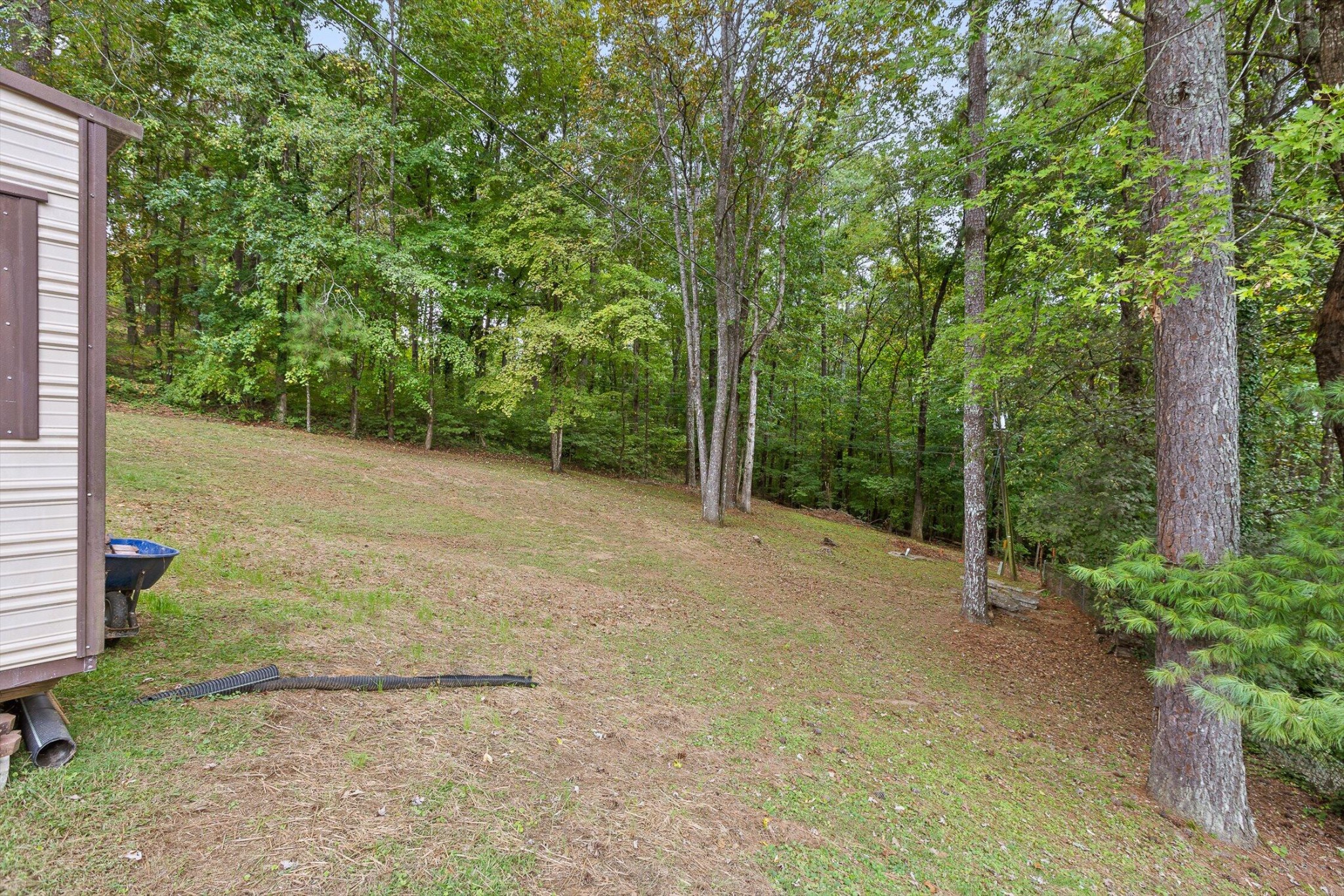 1135 Shady Fork Road Property Photo 38