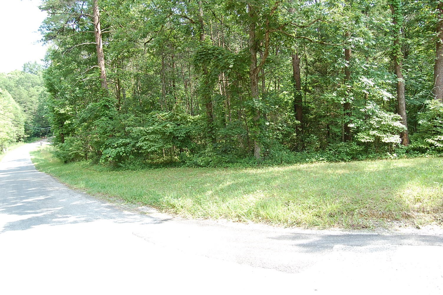 57 Hugh Allison Road Property Photo 3