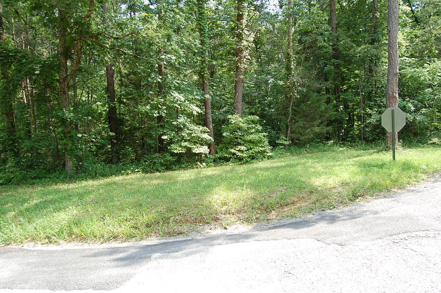57 Hugh Allison Road Property Photo 4