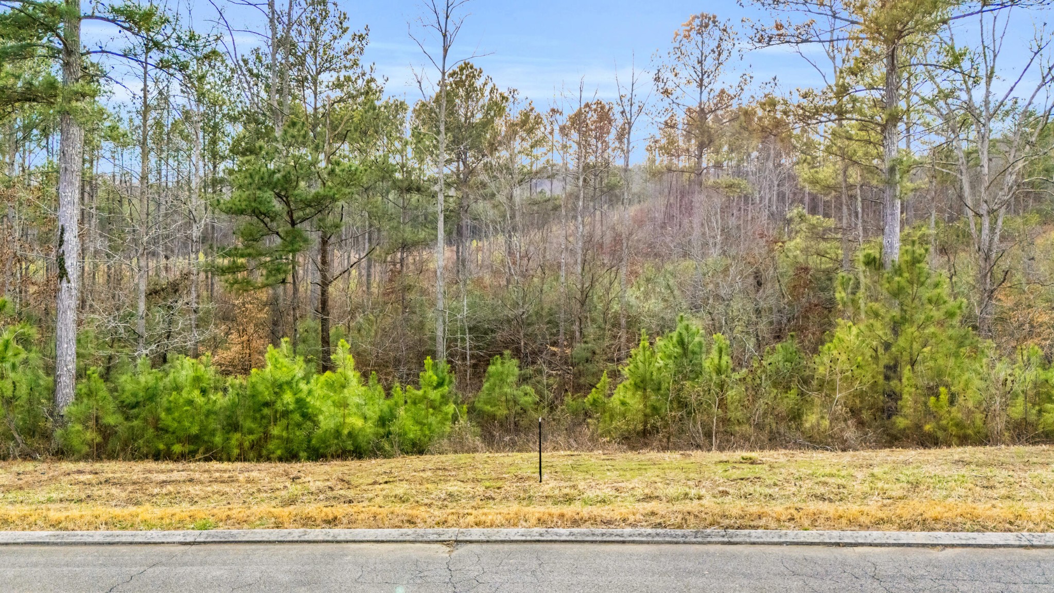 110 Quail Lane Property Photo 1